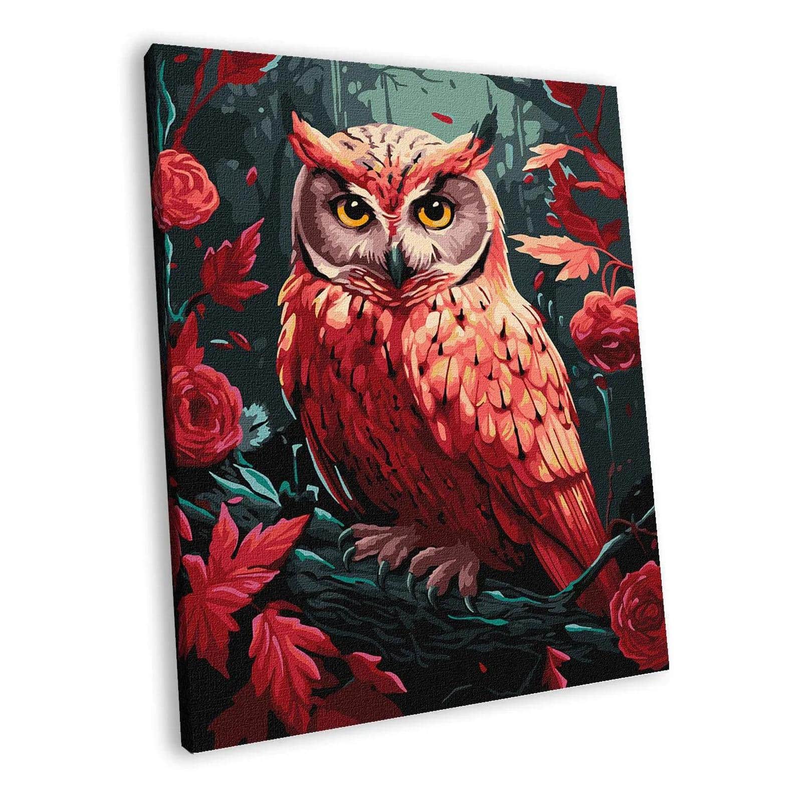 Ideyka Colorful Owl Painting by Numbers Kit