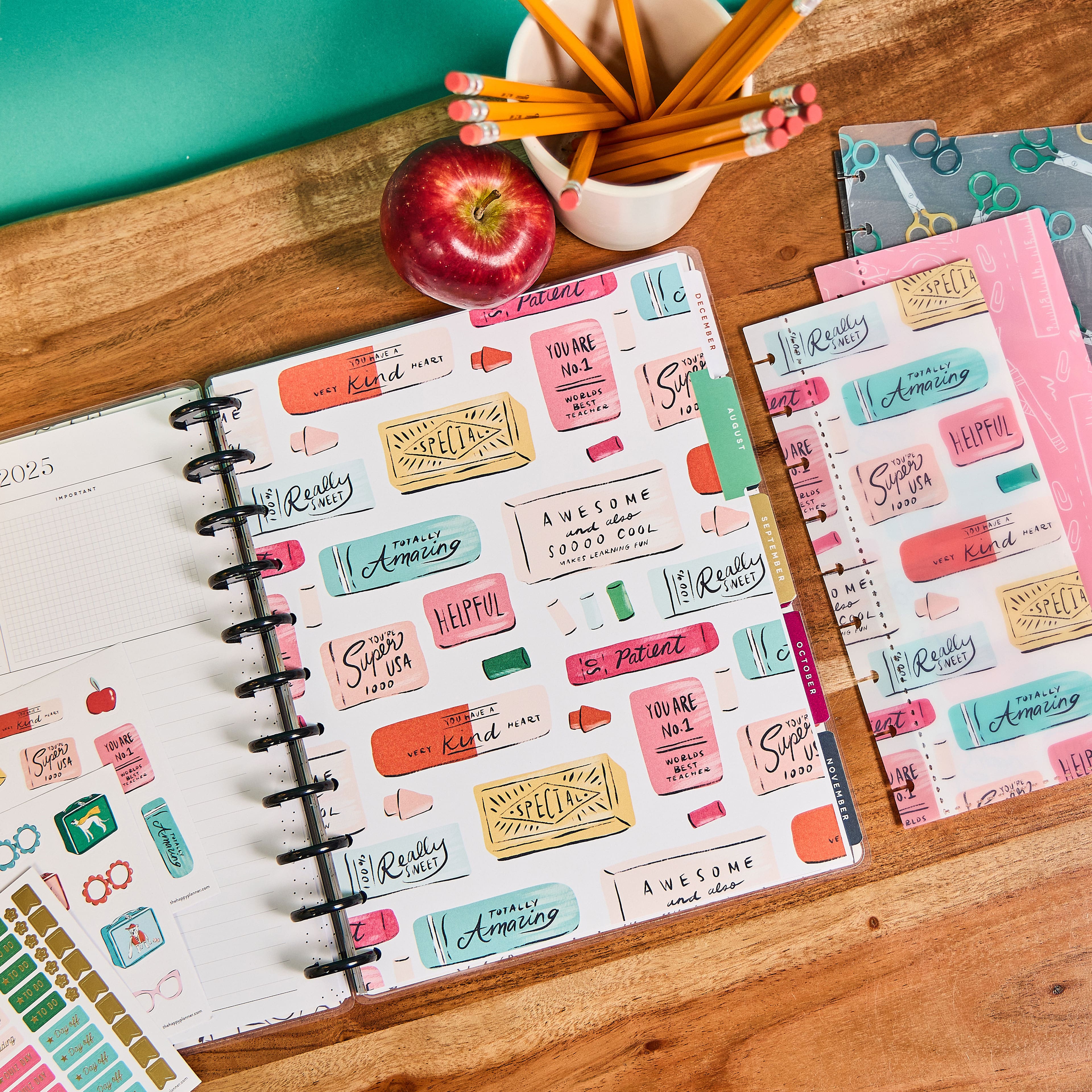 The Big Happy Planner&#xAE; 2025 Pawsitive Teacher 12 Month Planner Box Kit