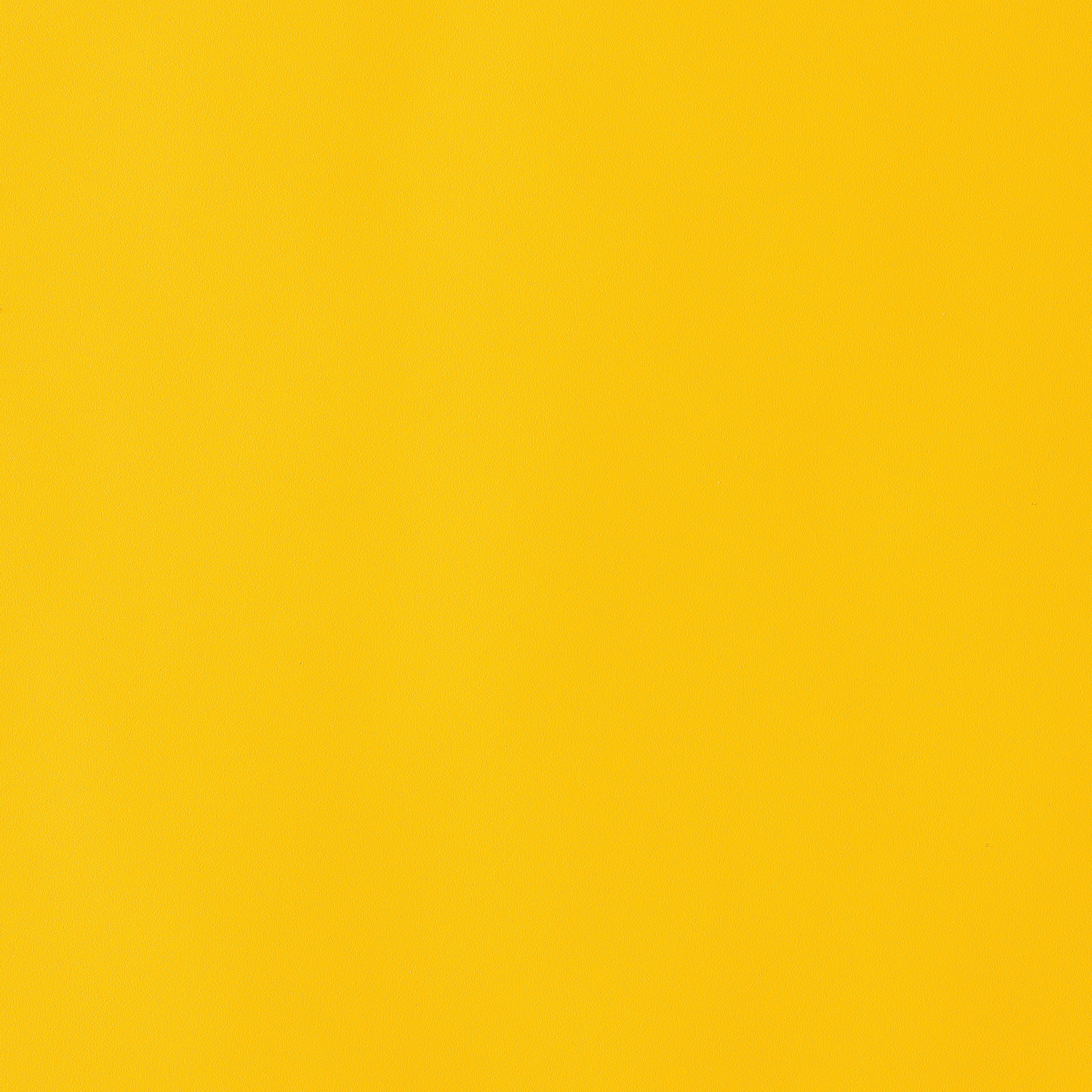 ORACAL&#xAE; 631 Removable Vinyl