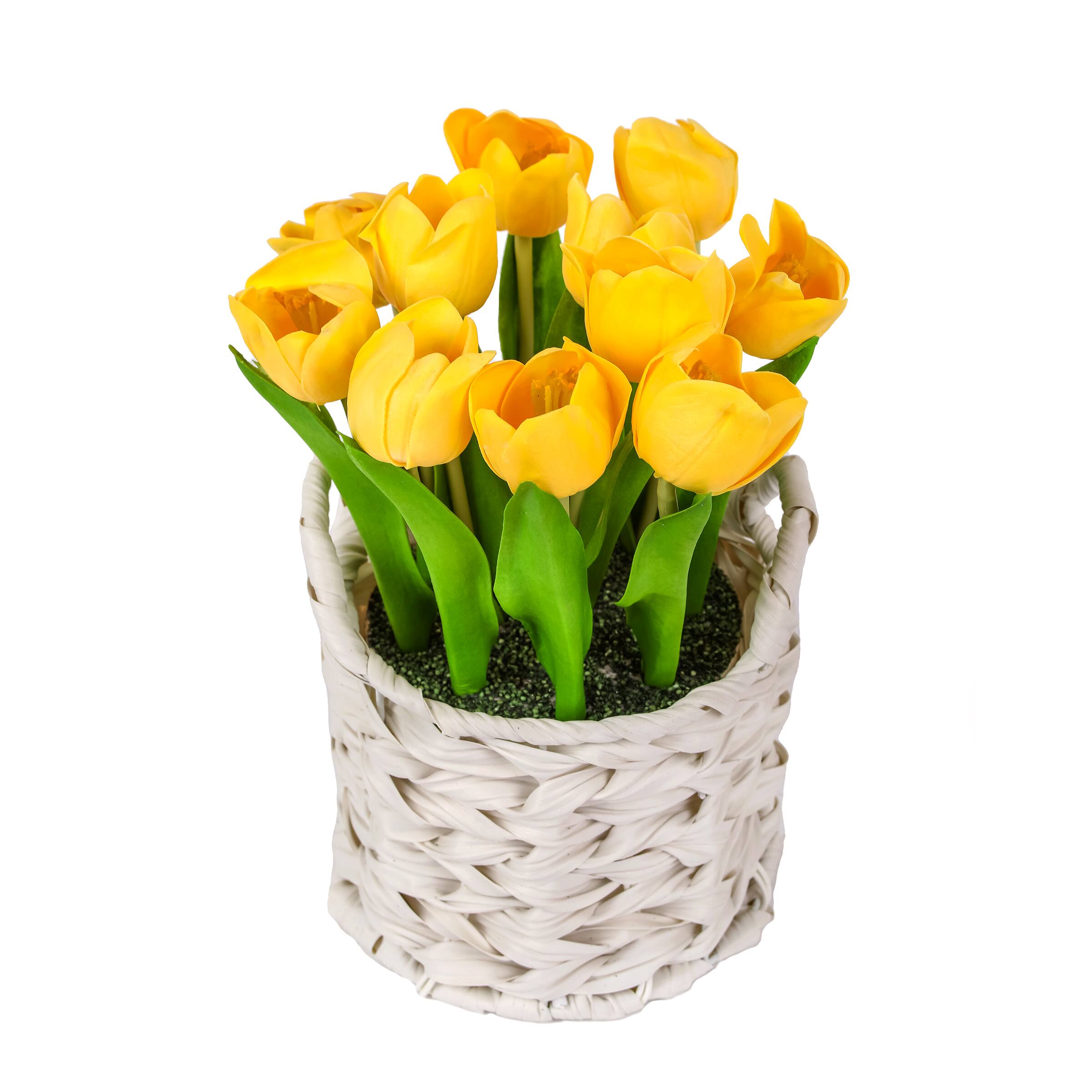 10" Tulip Bouquet in White Basket