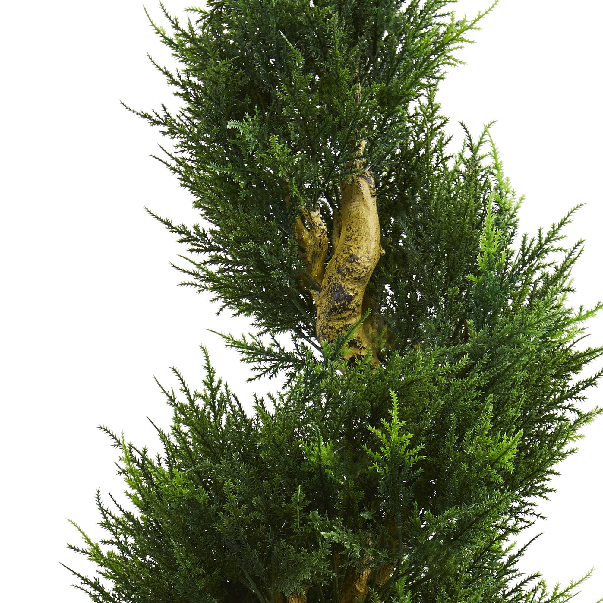 5.5ft. Cypress Spiral Tree in Black Wash Planter