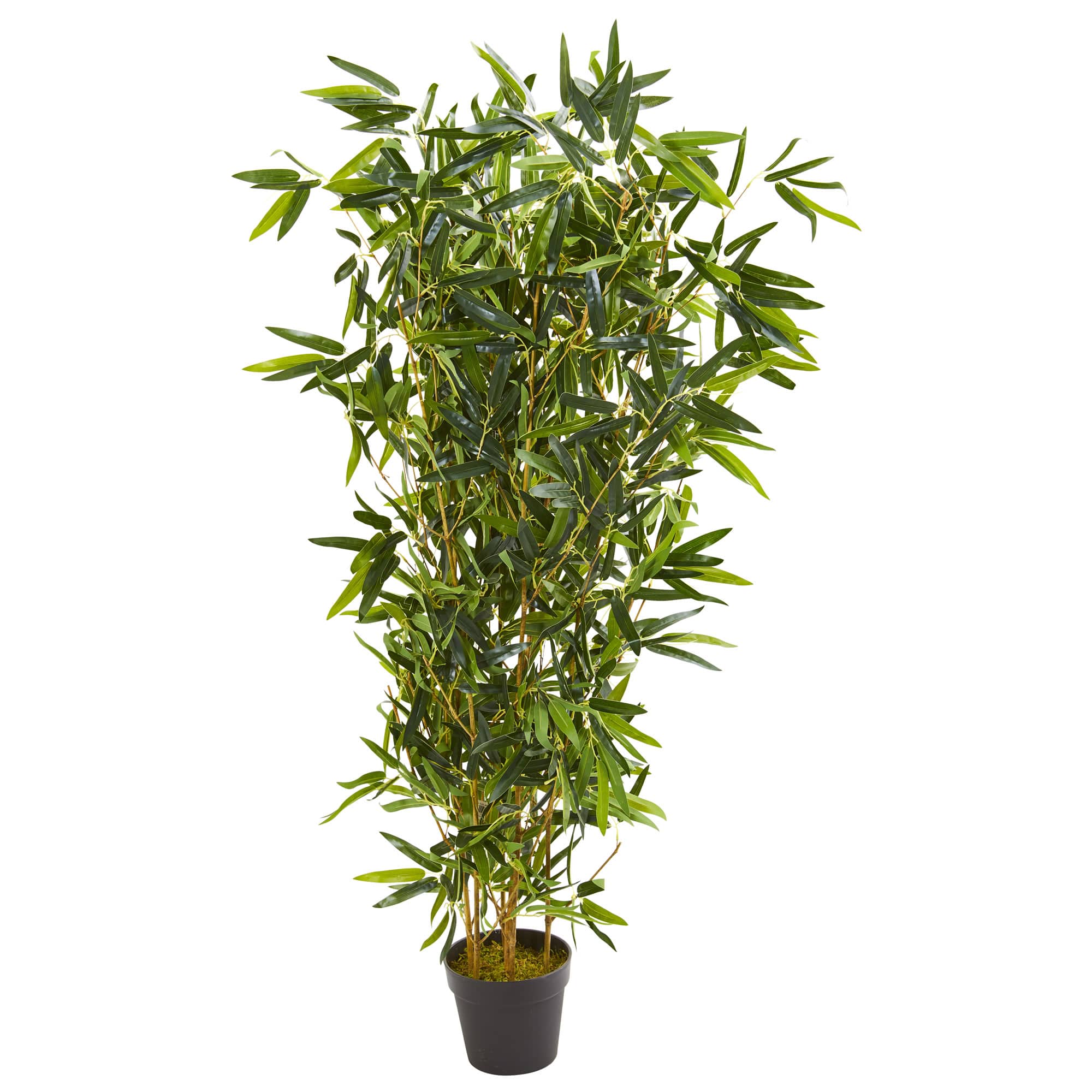 4.5ft. Potted Bamboo Tree Trees & Floor Plants Michaels