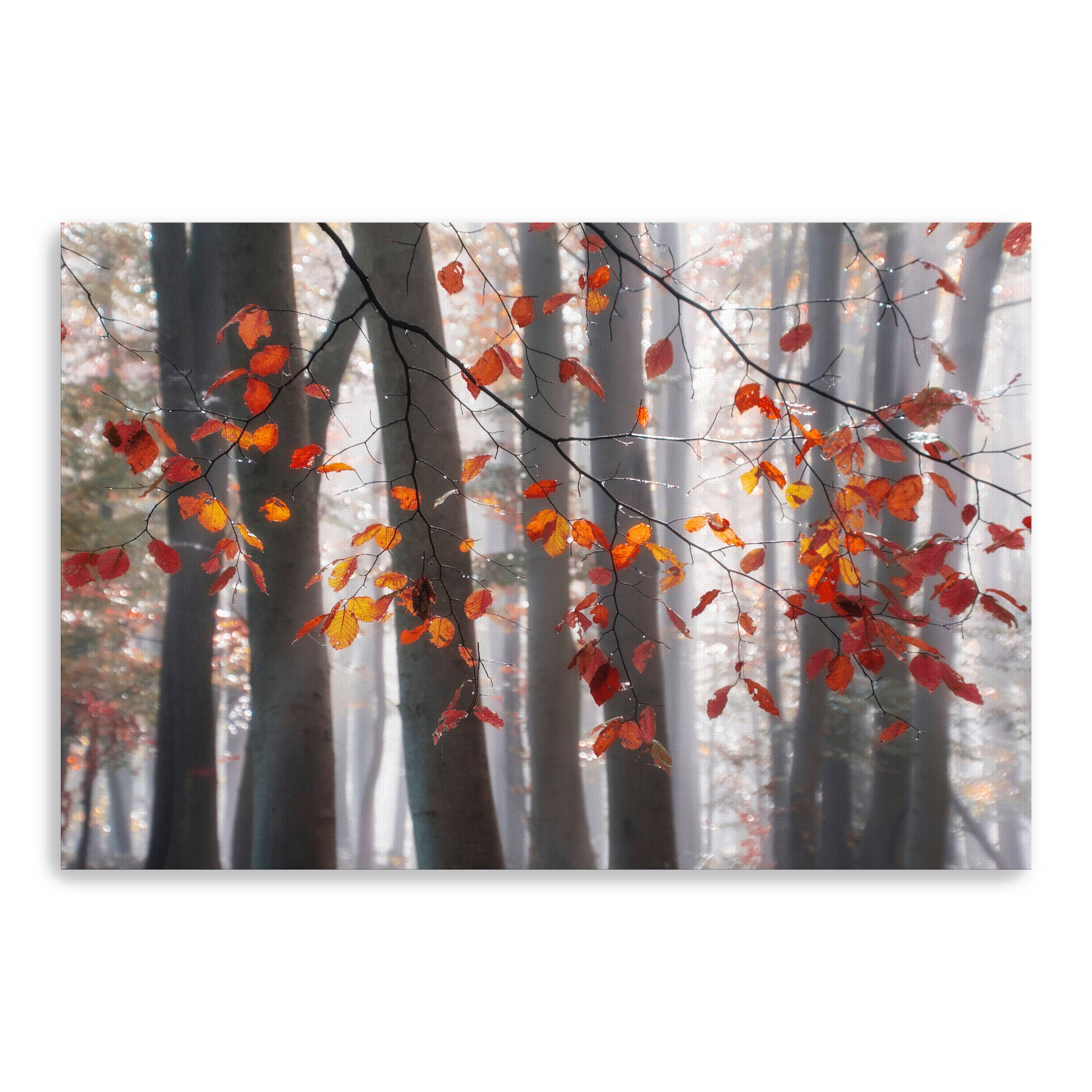 Falling Moments Canvas Giclee