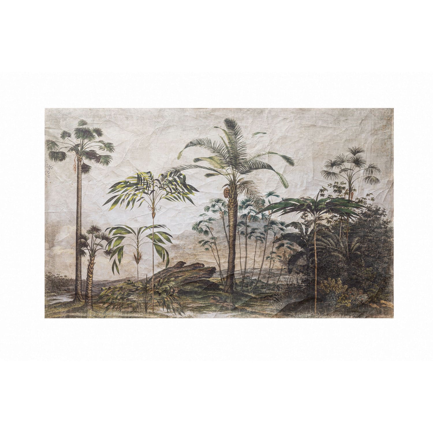 Hello Honey® 8ft. Paper Vintage Reproduction Wall Mural with Palm Trees