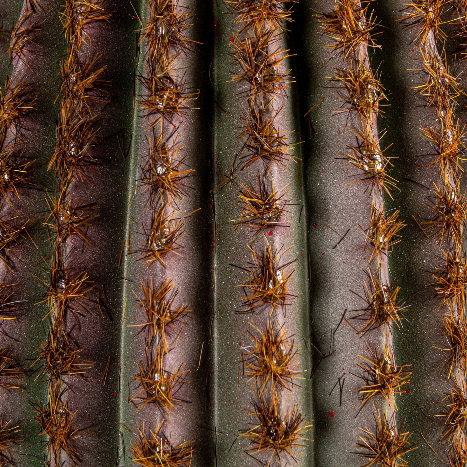 Hello Honey® Round Faux Green Vatricania Cactus in Plastic Pot