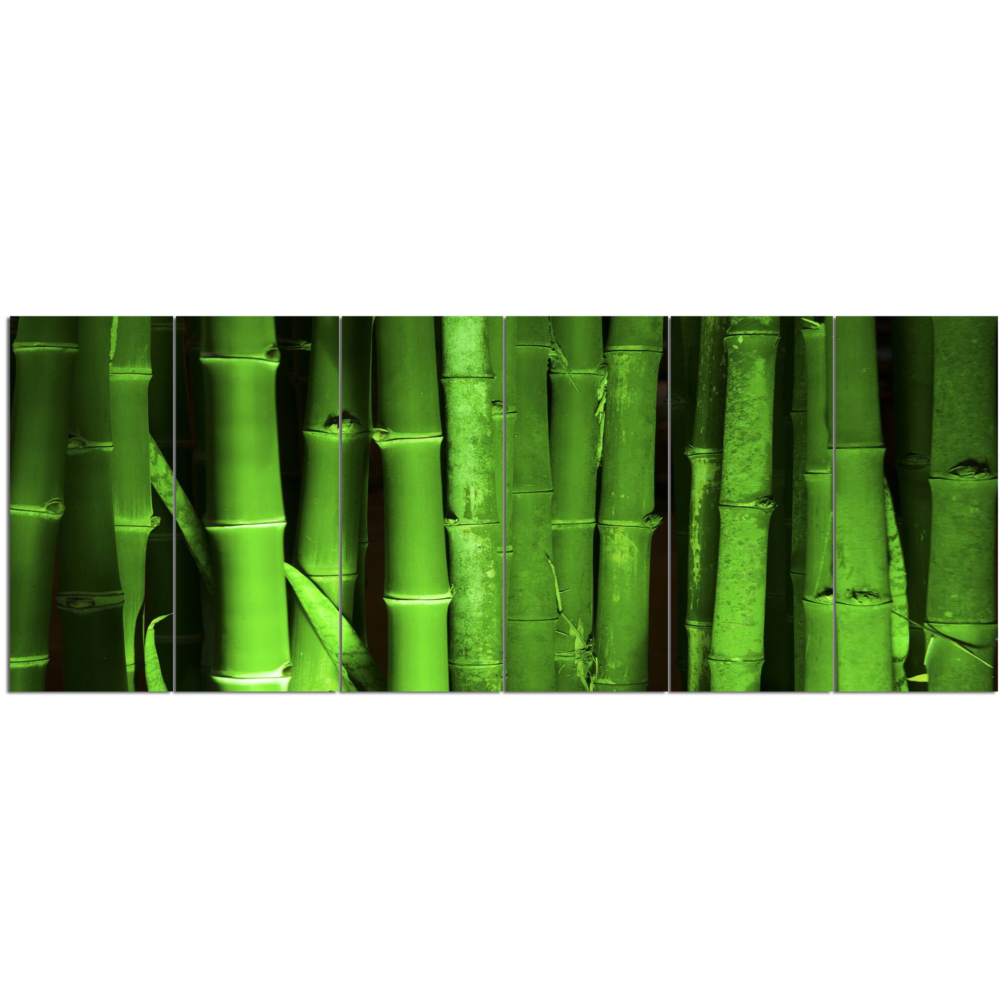 Designart - Green Bamboo Forest - Floral Canvas Art Print