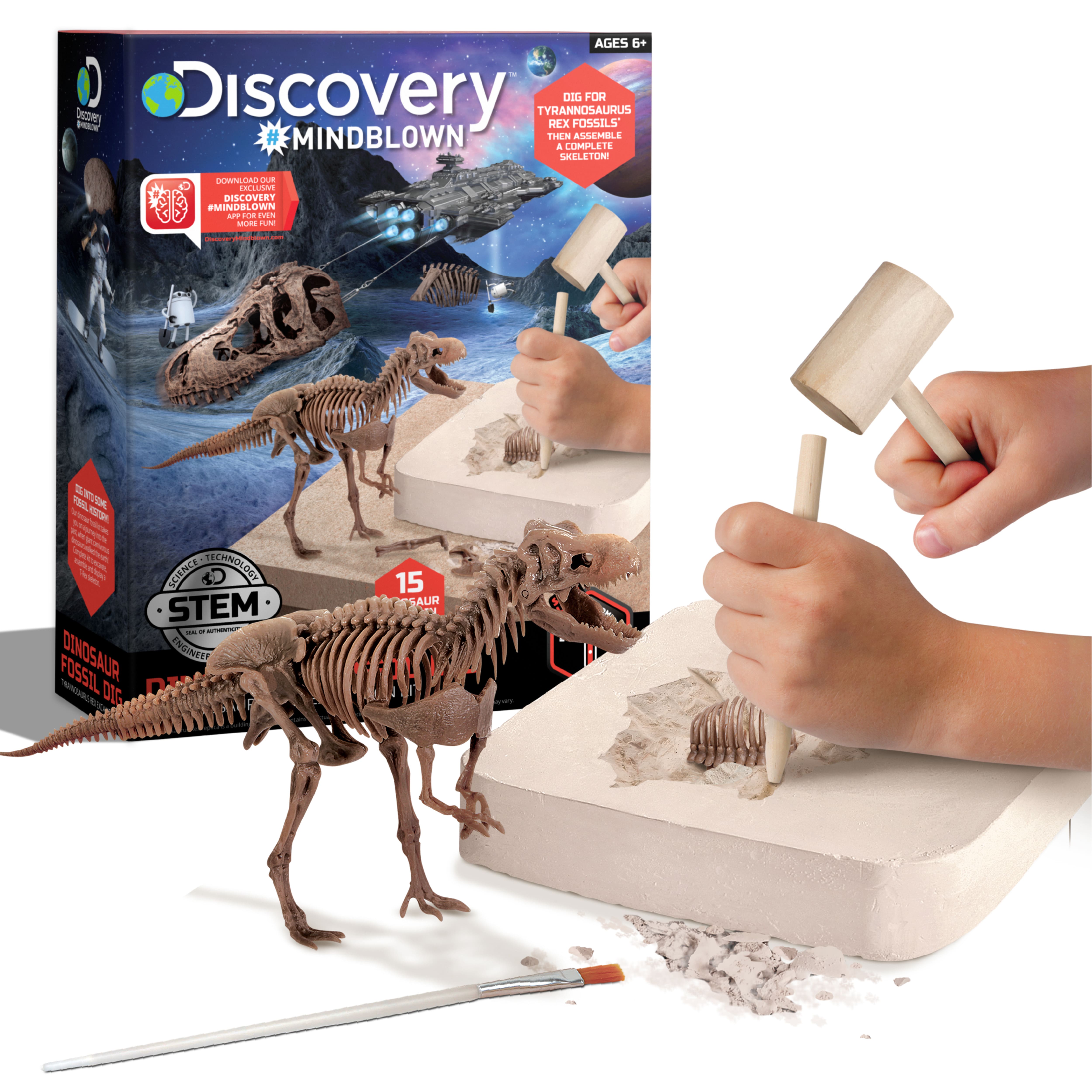 Discovery&#x2122; Mindblown Dinosaur Fossil Dig T-Rex Excavation Kit