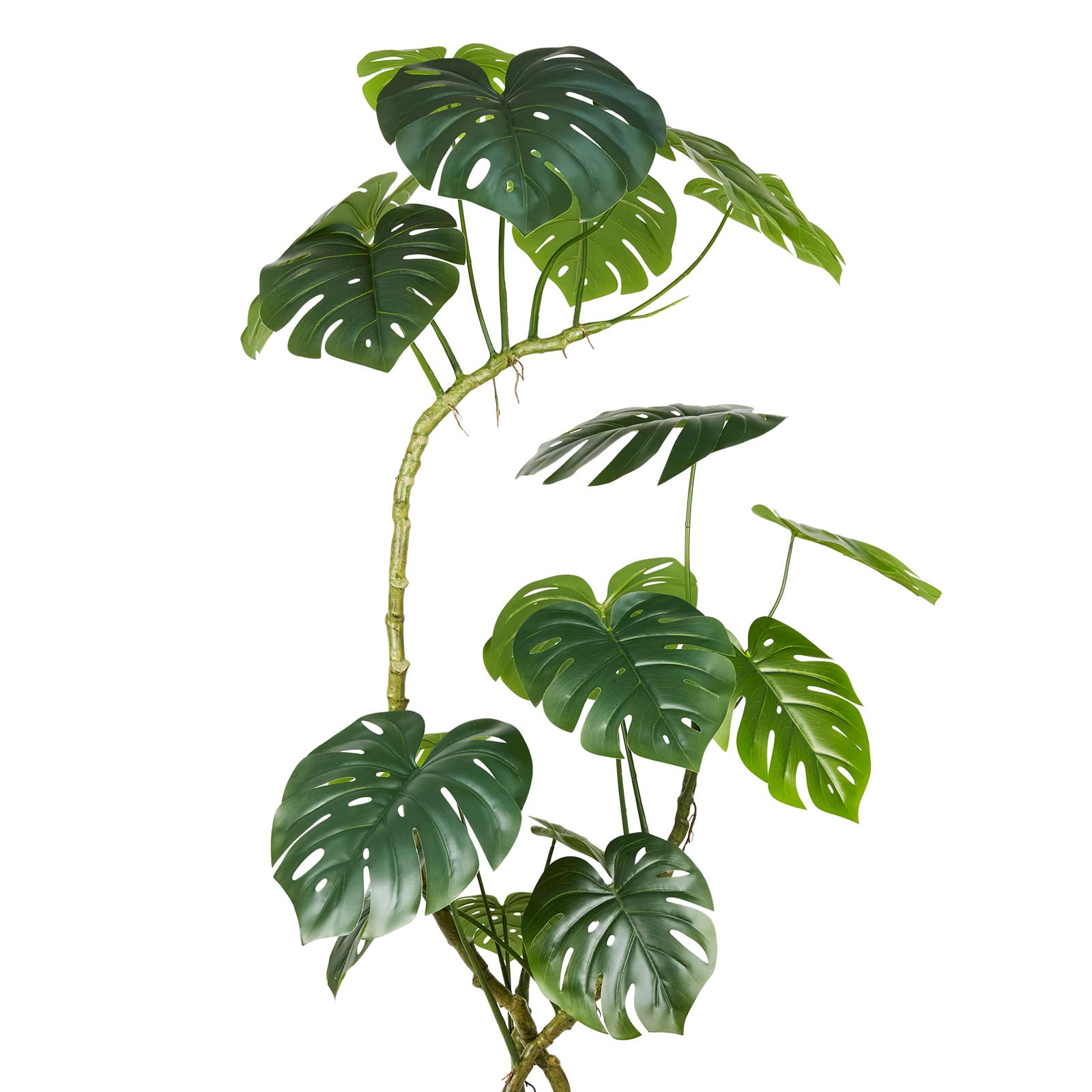 Faux philodendron en pot de 182,8&#xA0;cm d&#x2019;Ashland