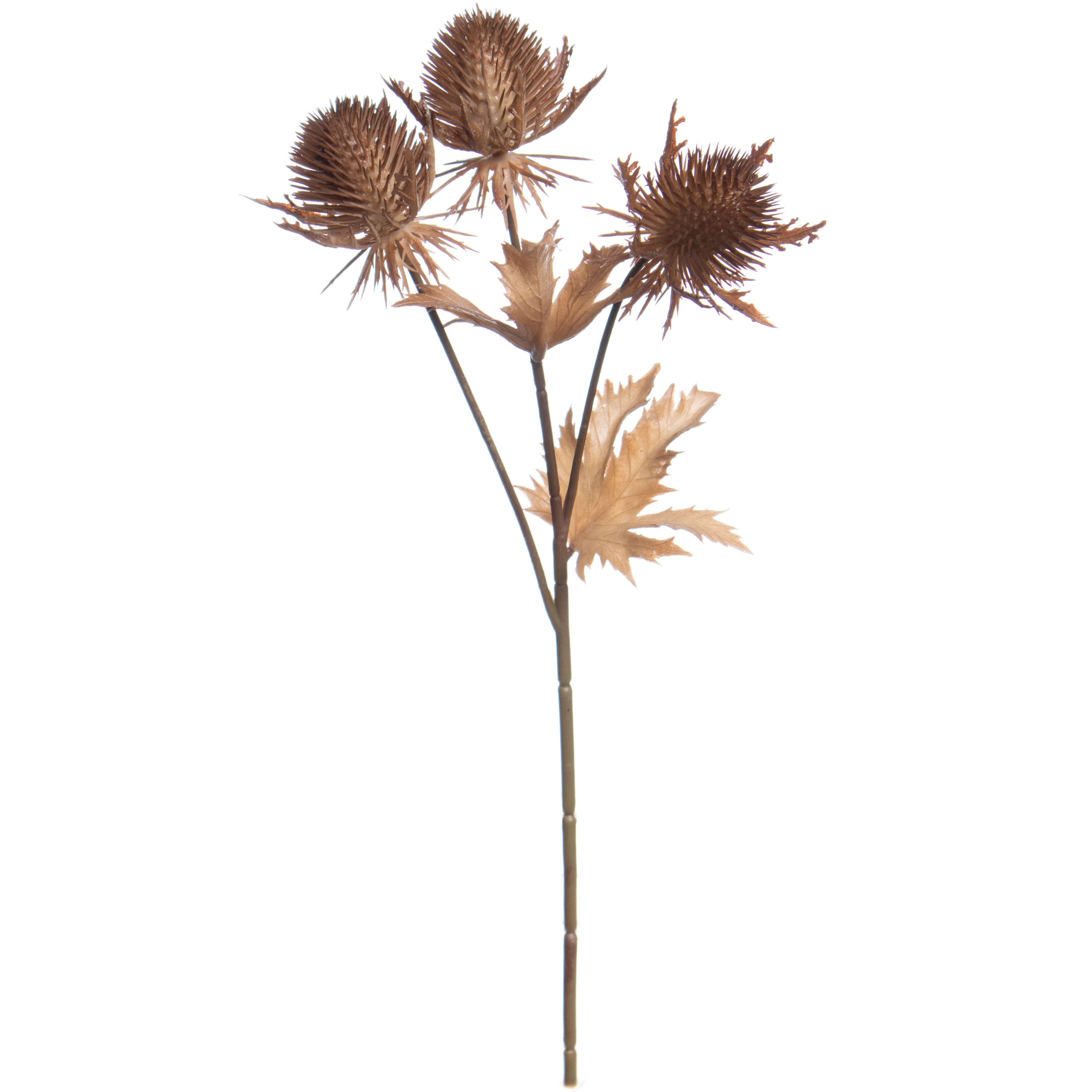 12&#x22; Brown Thistle Pick by Ashland&#xAE;