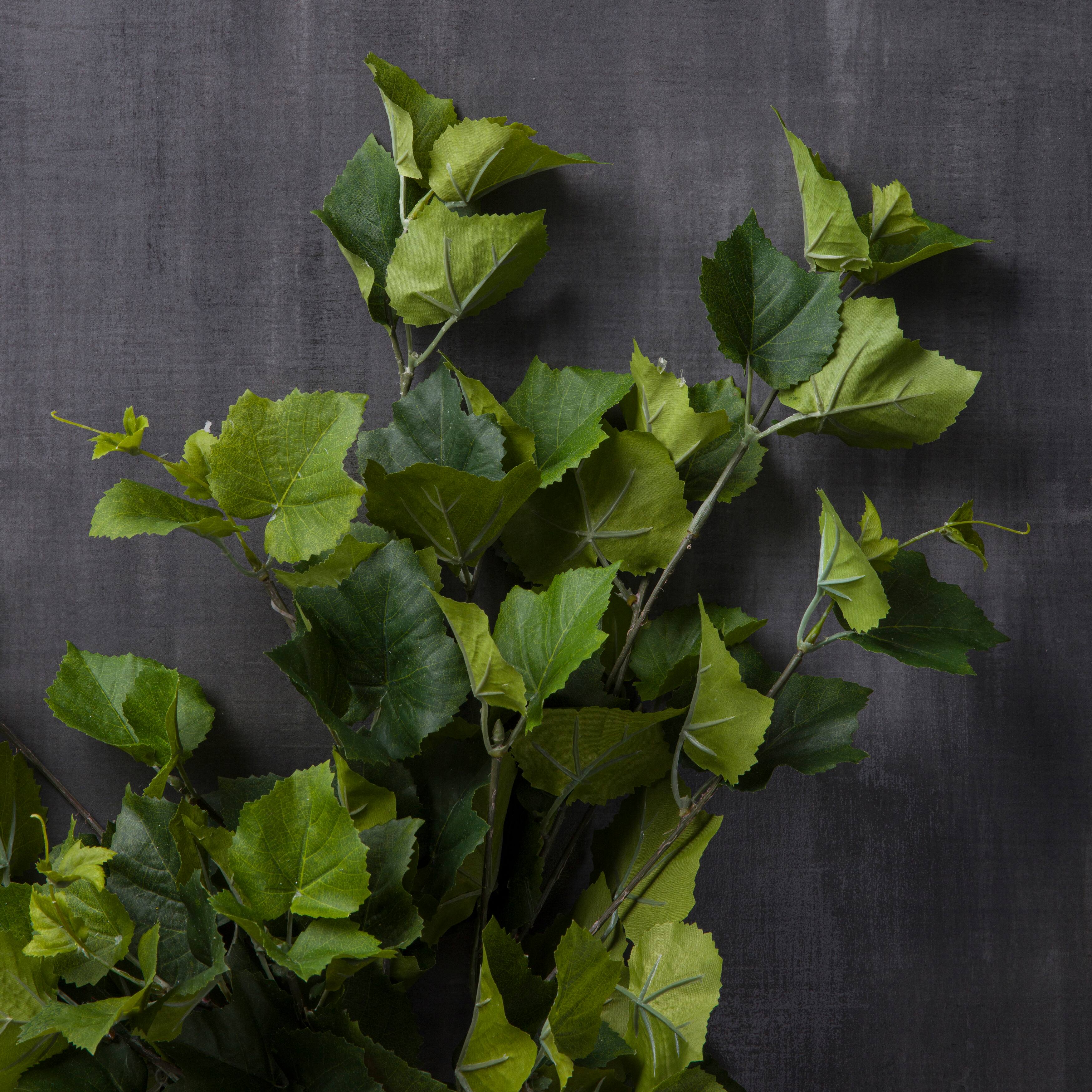 15 Pack: Green Hanging Grape Leaf Bush by Ashland®