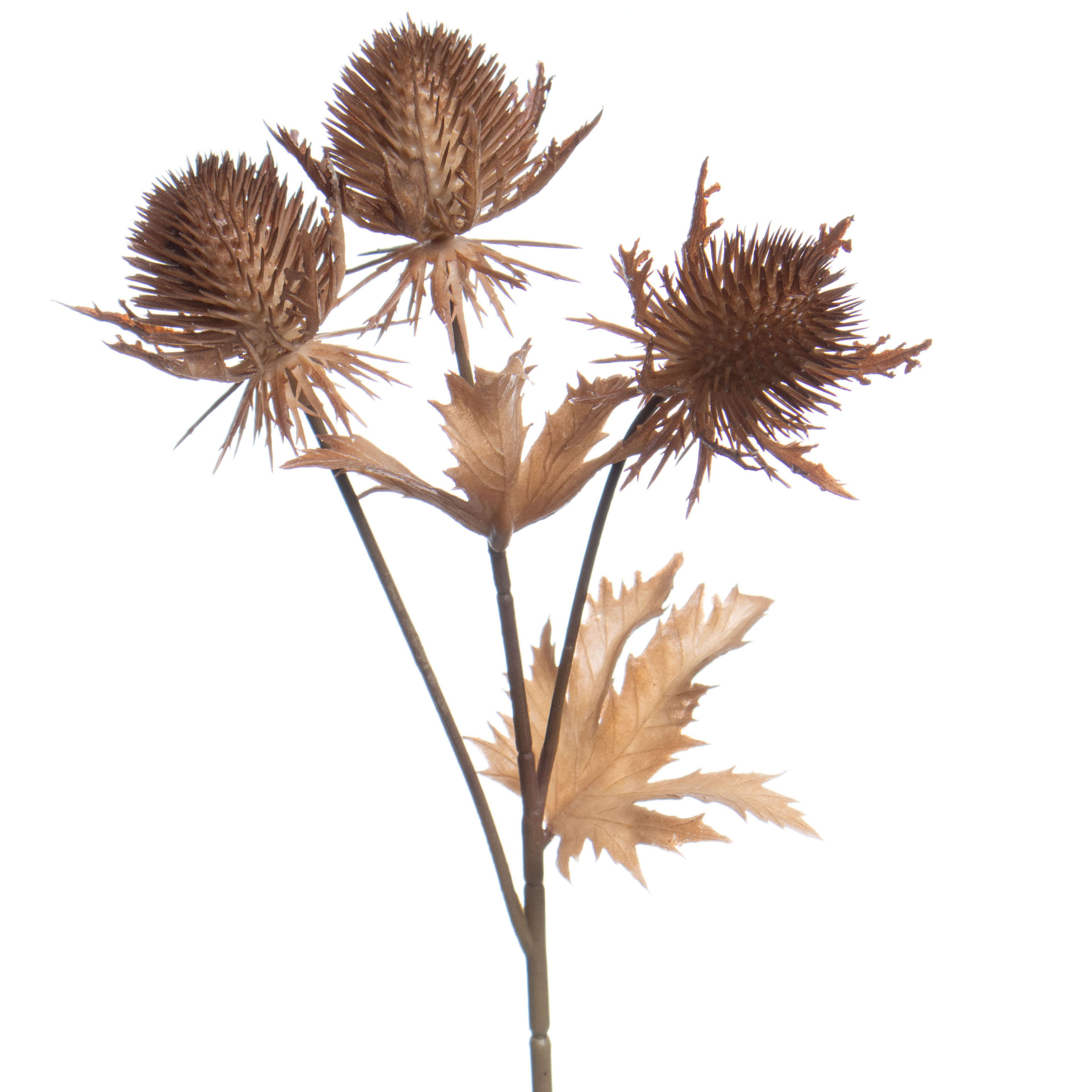 12" Brown Thistle Pick by Ashland®