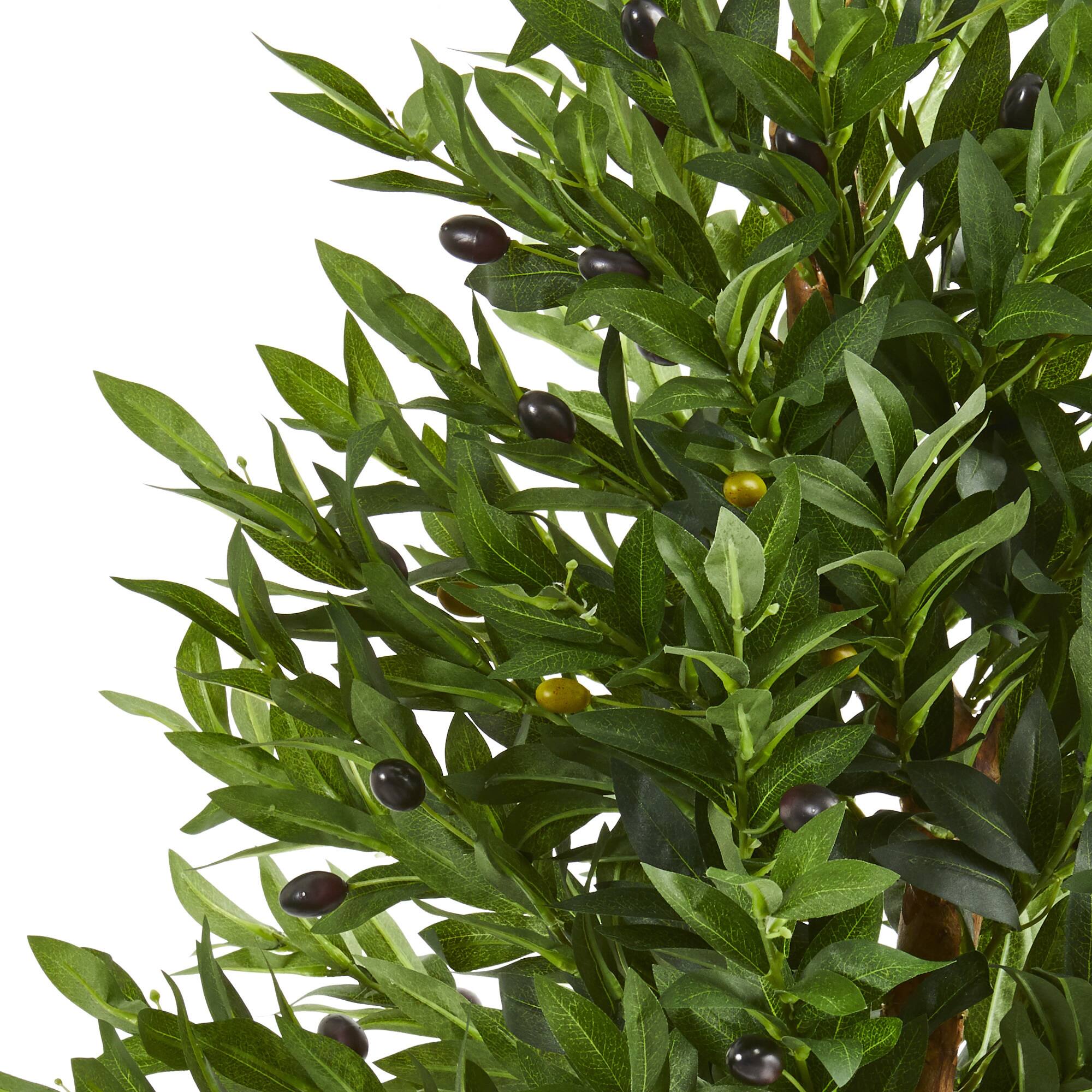 3ft. Potted Olive Cone Topiary Tree