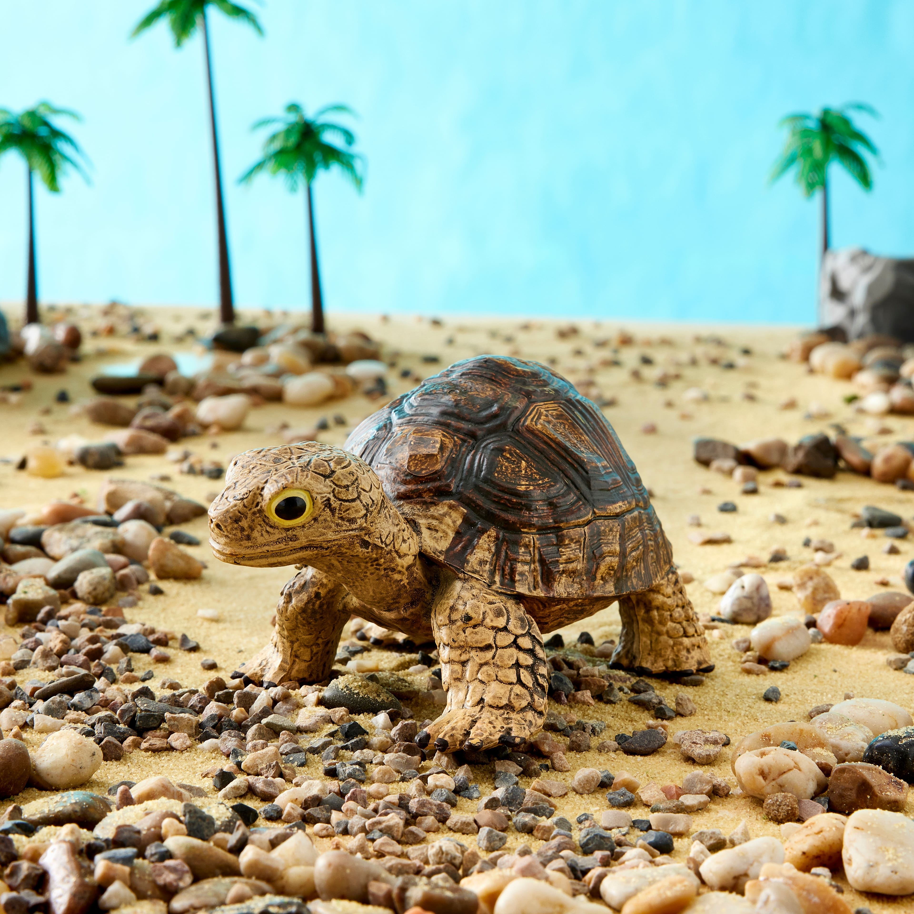 Safari Ltd® Tortoise