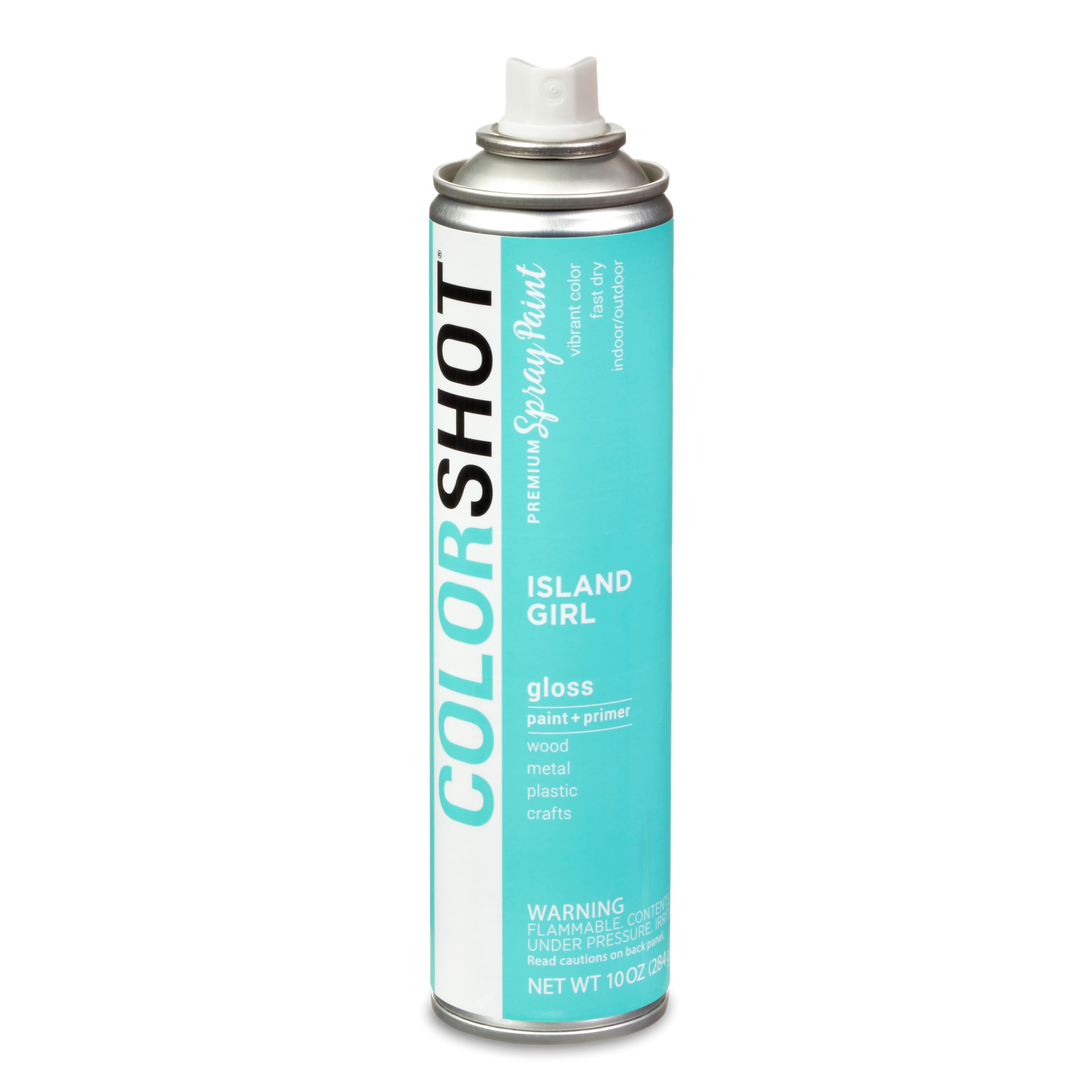 COLORSHOT&#xAE; Premium Gloss Spray Paint