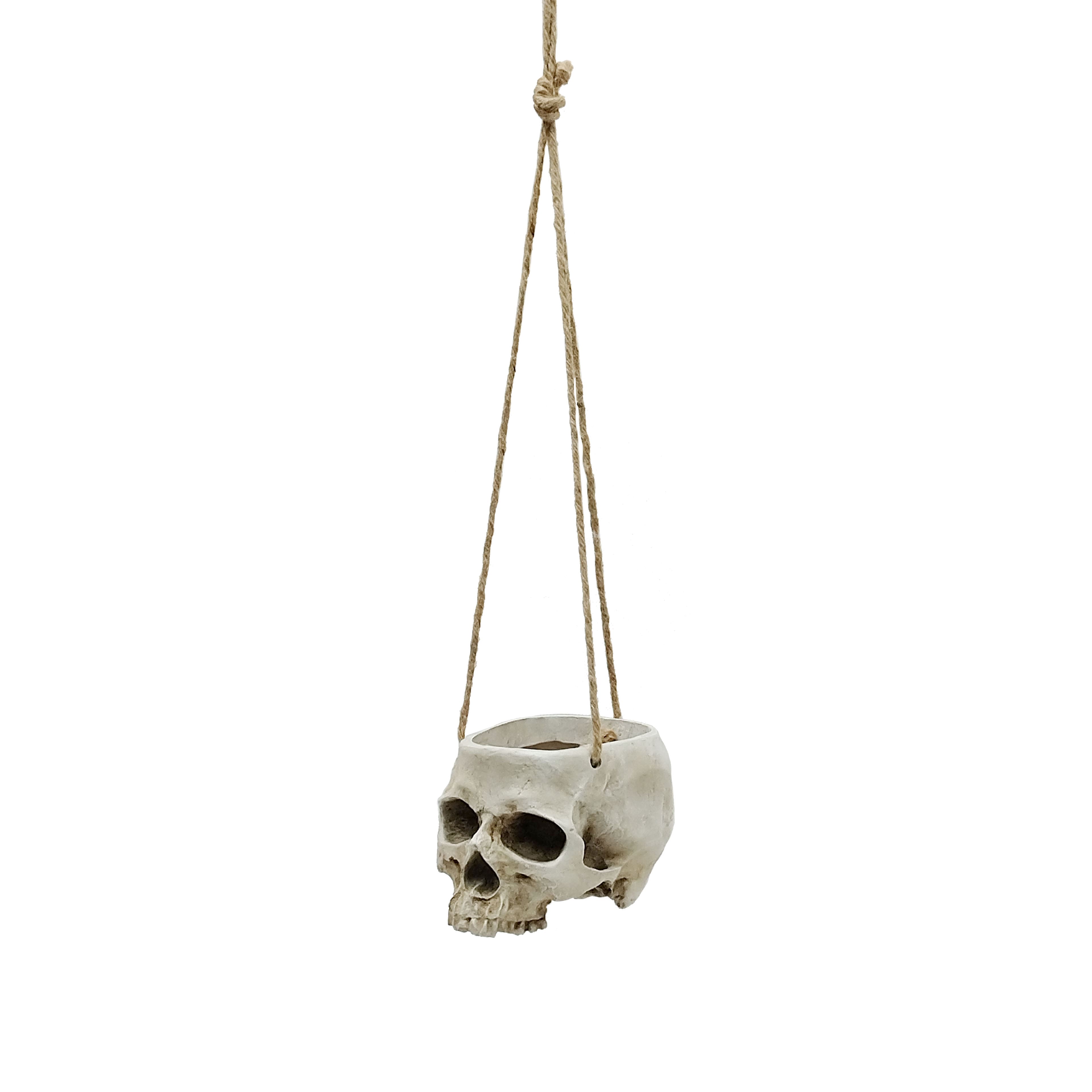 Small Skull Hanging Planter by Ashland&#xAE;
