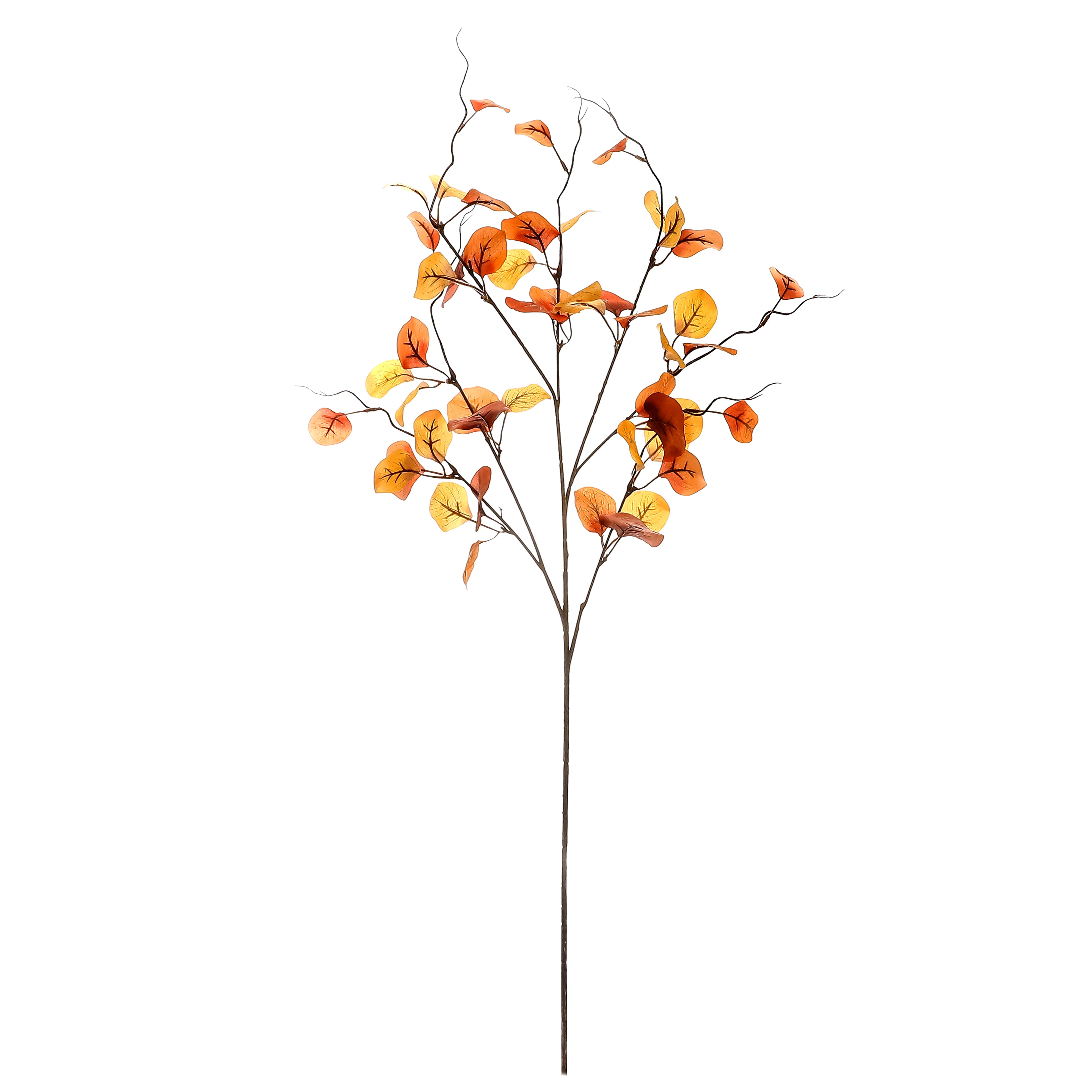 39&#x22; Brown Eucalyptus Stem by Ashland&#xAE; 