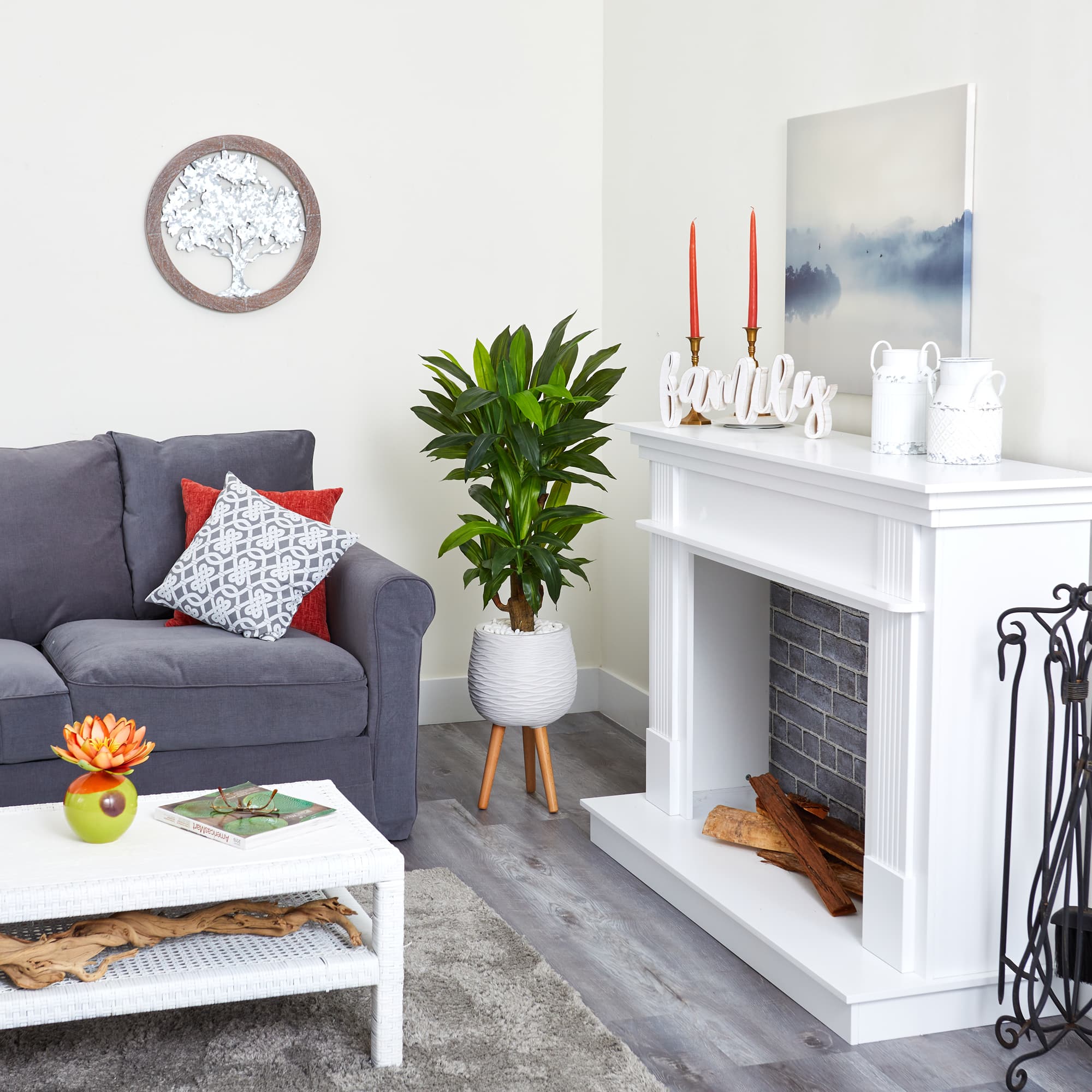 4ft. Corn Stalk Dracaena Plant in White Planter with Stand