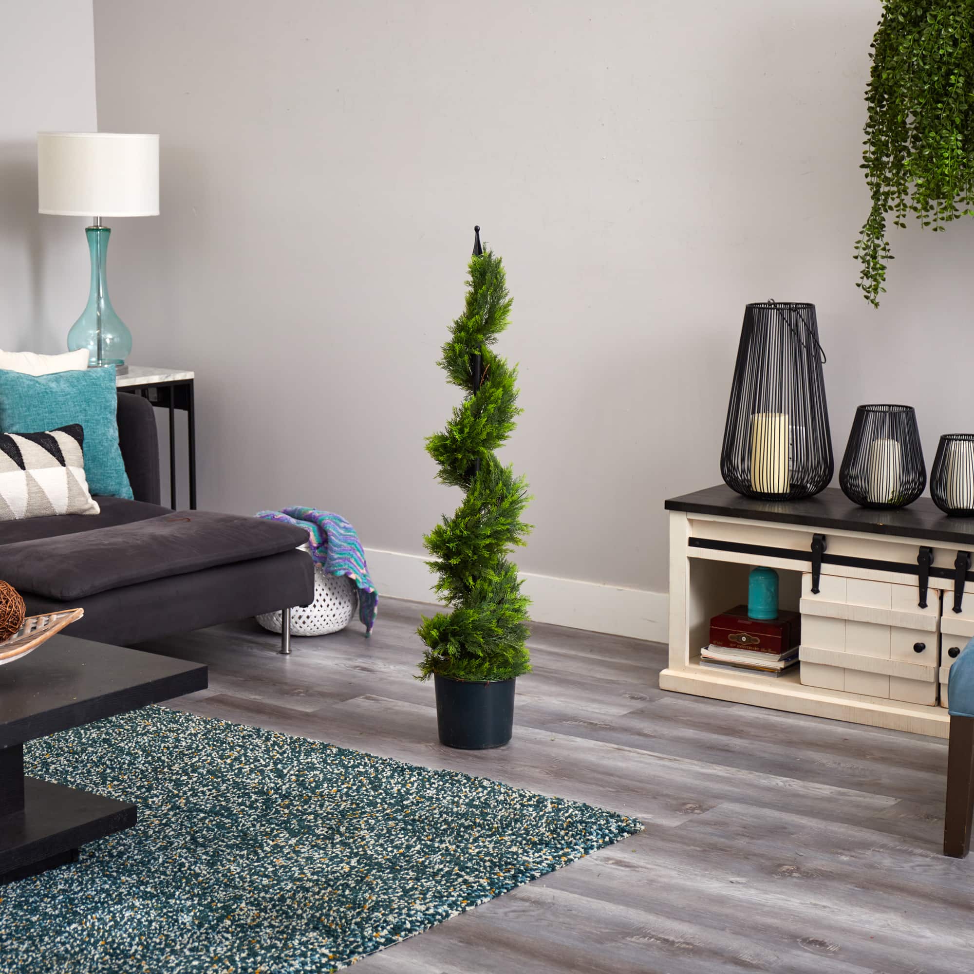 4ft. Potted Cypress Spiral Tree