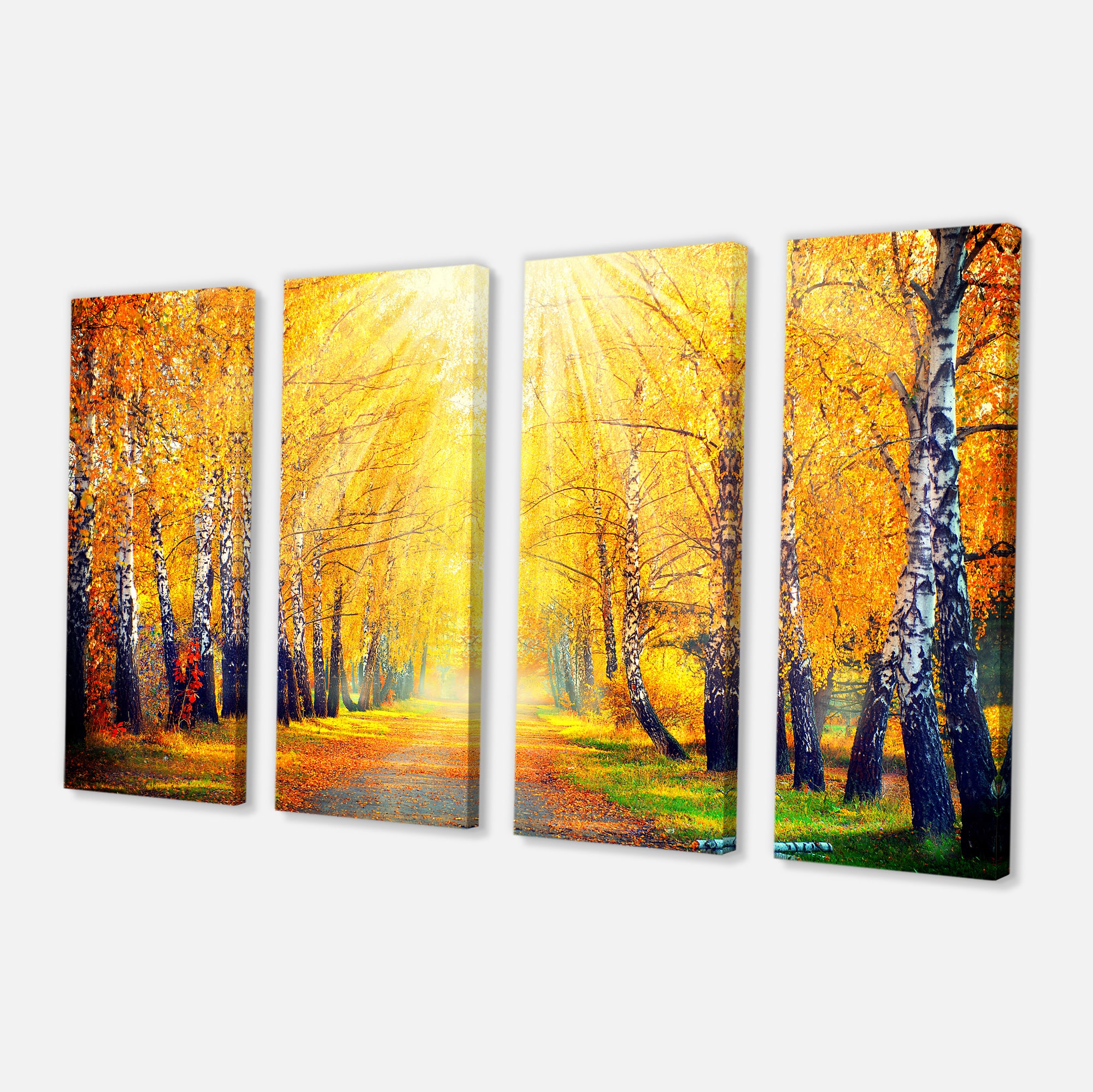 Designart - Yellow Autumn Trees in Sunray