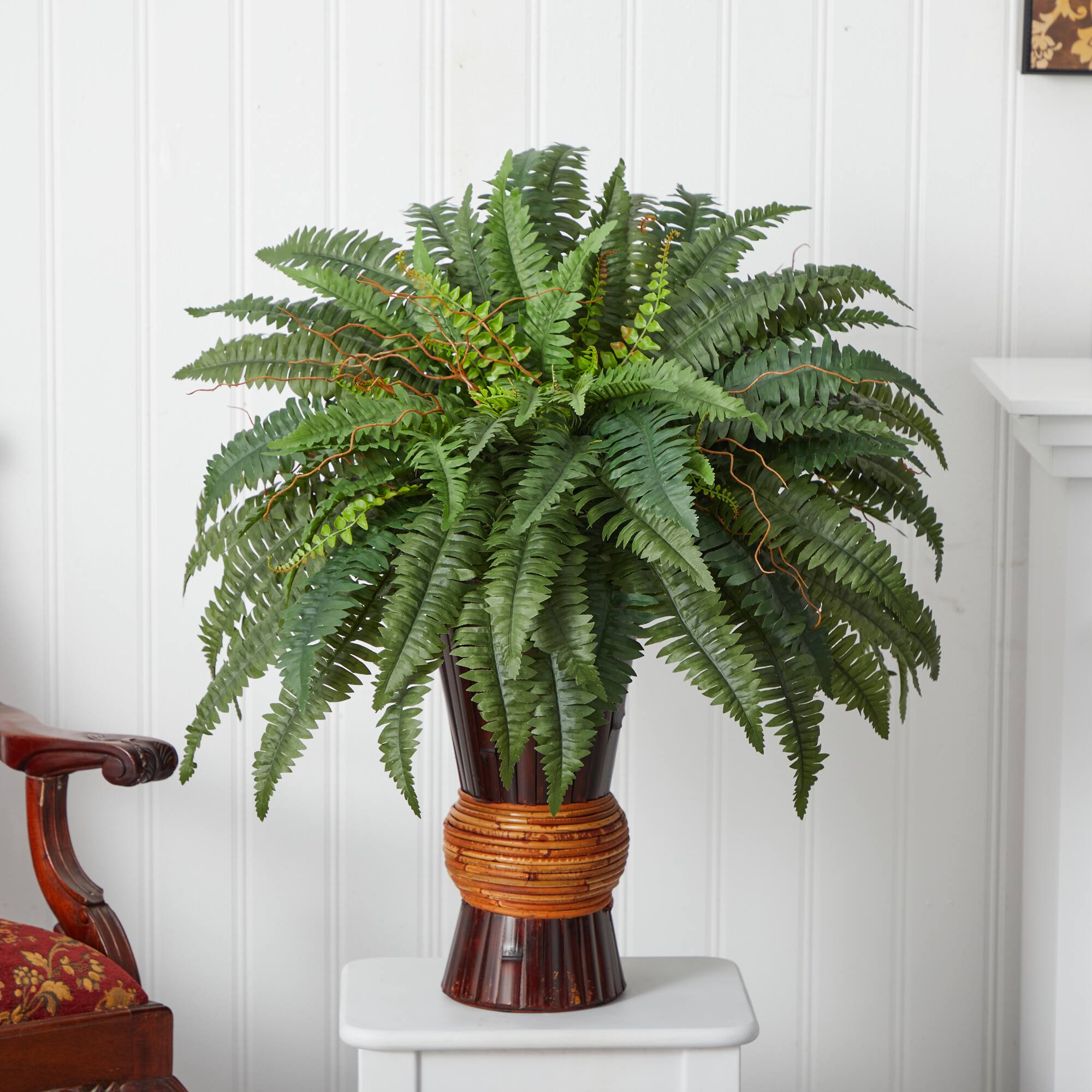 2.75ft. Boston Fern Plant in Bamboo Vase