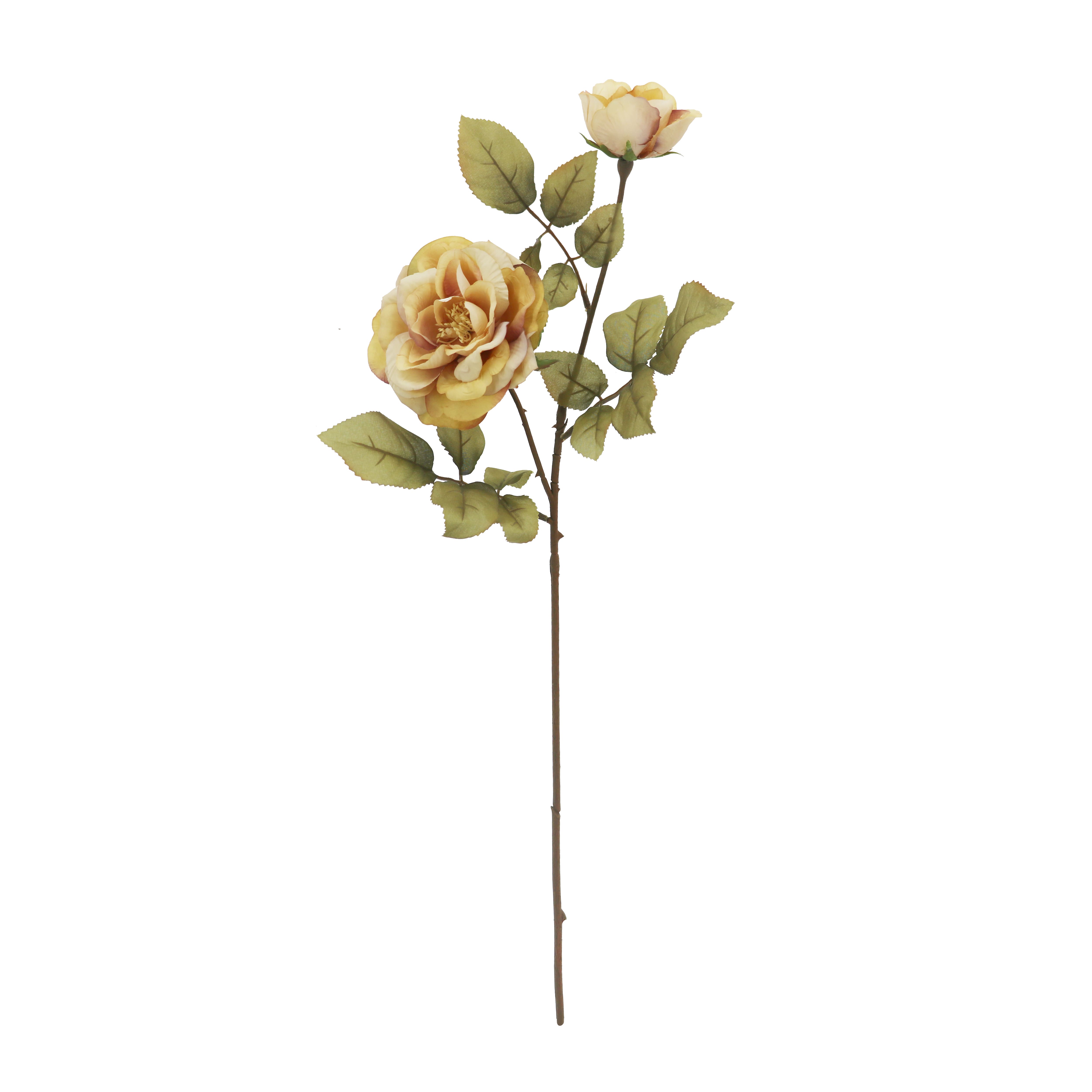 28&#x22; Brown &#x26; Cream Rose Stem by Ashland&#xAE;