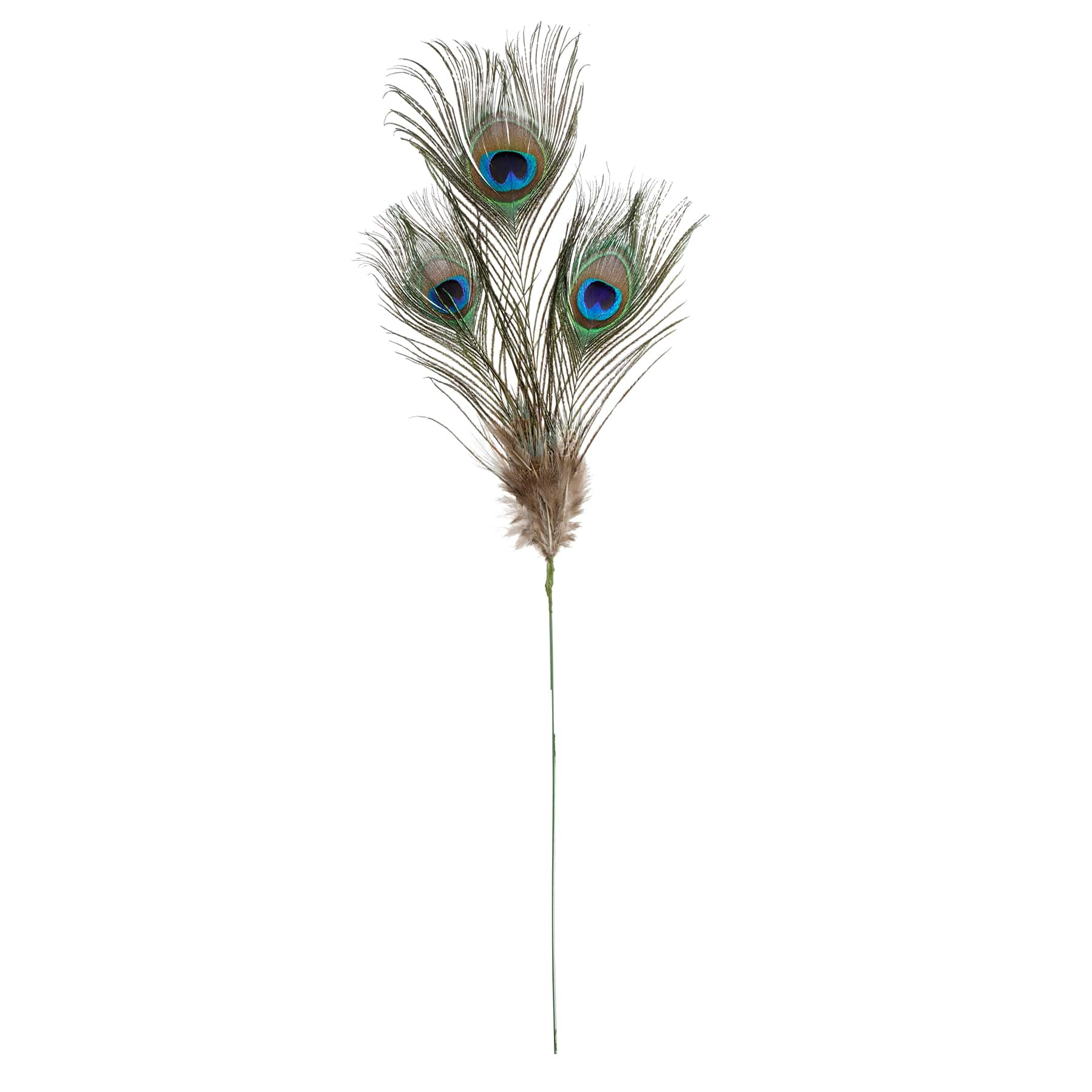 12 Pack: Peacock Feather Picks by Ashland® | Naturals | Michaels