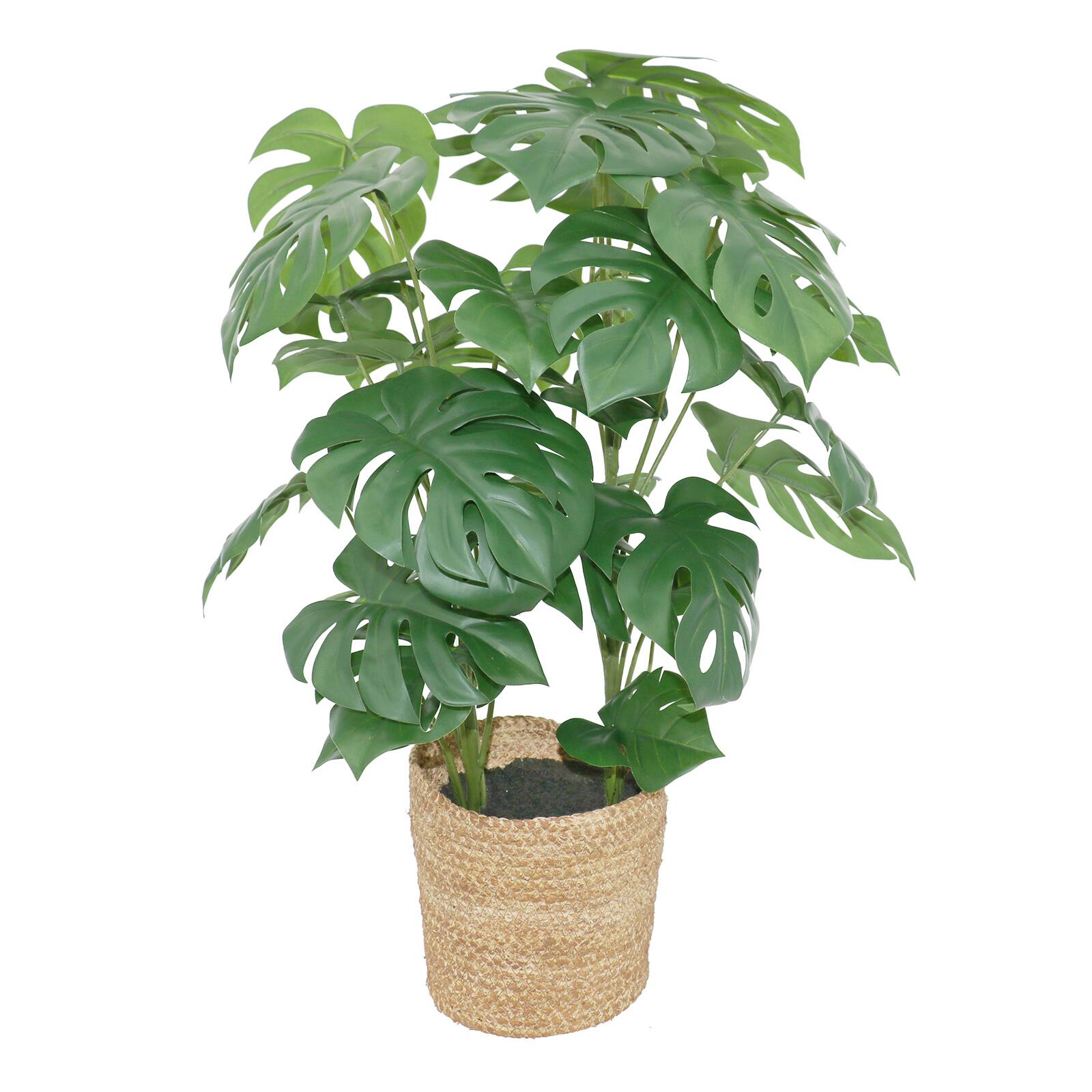 25" Potted Monstera Plant by Ashland®