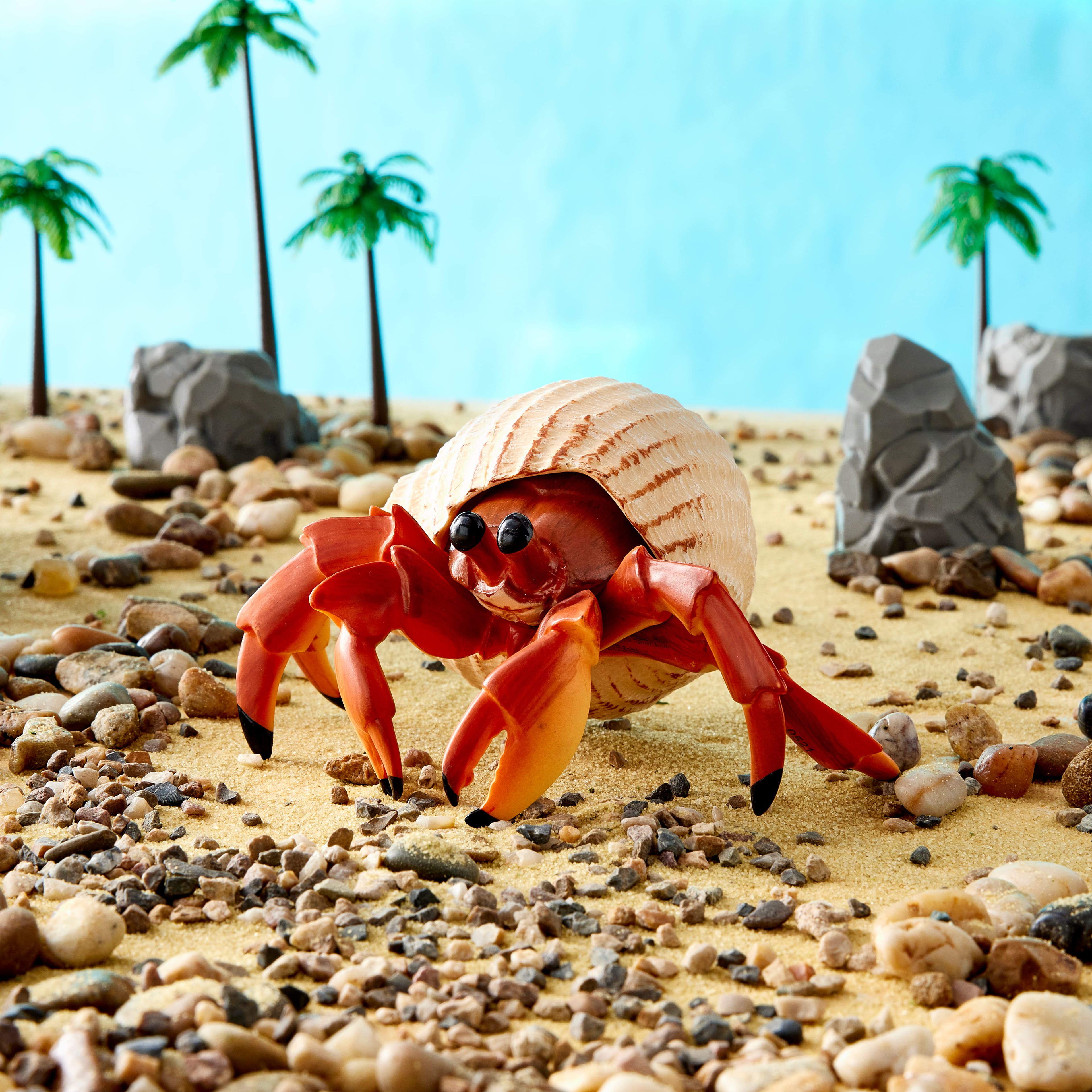 Safari Ltd® Hermit Crab