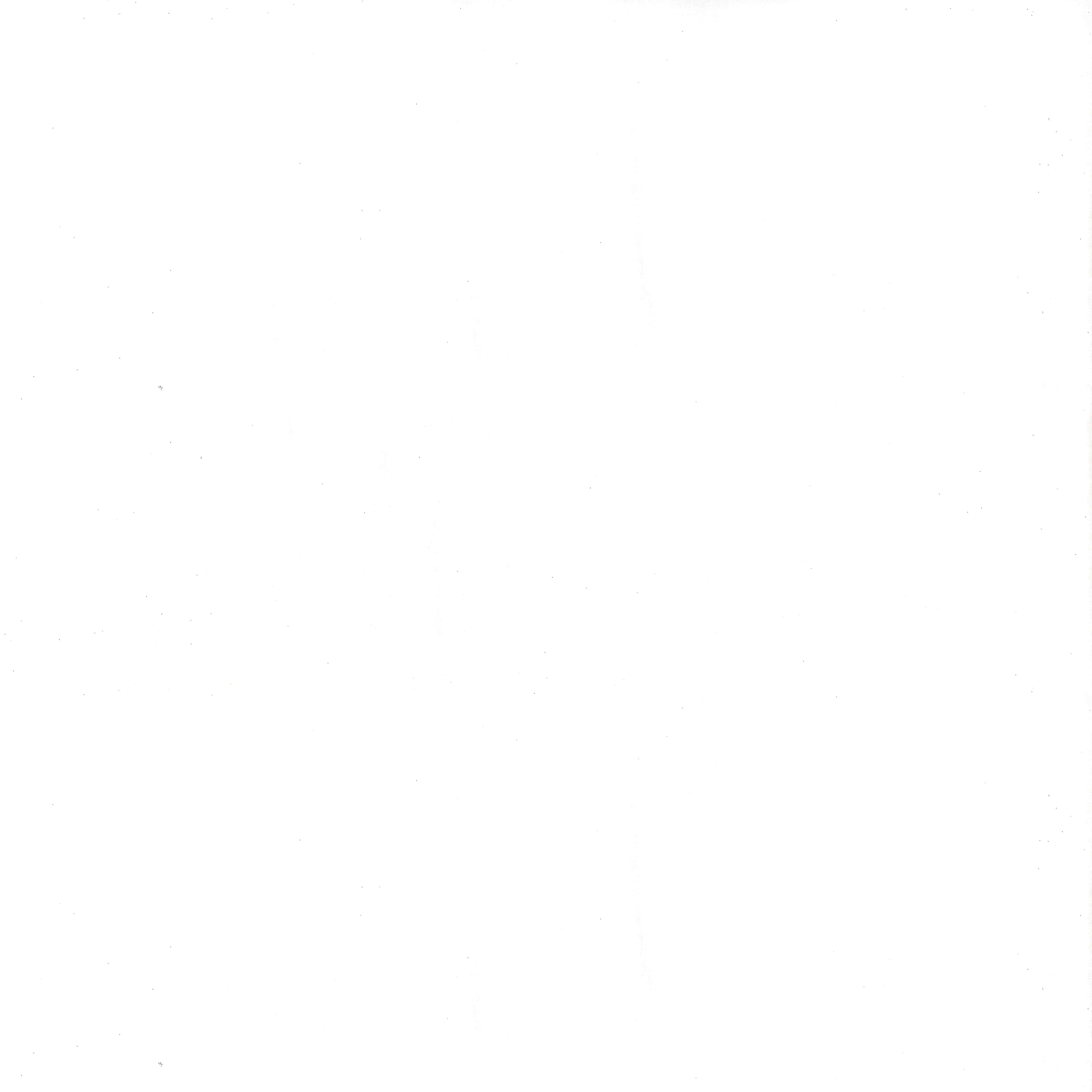 10 yd. Full Bolt: Fabric Traditions Bleached White Muslin Cotton Fabric