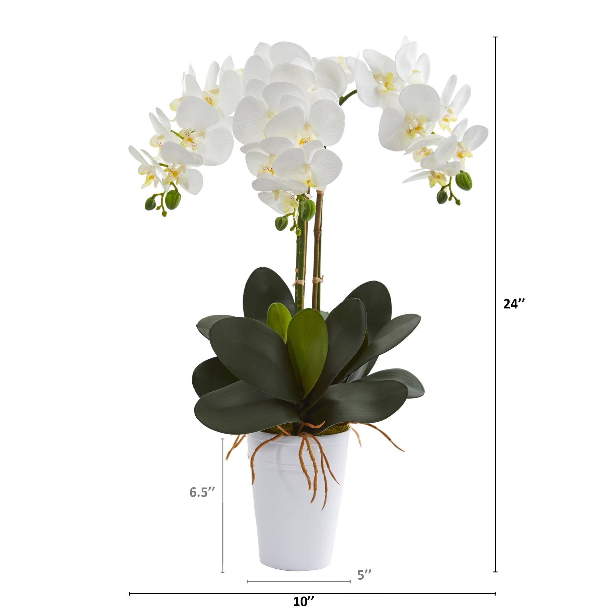 24" Phalaenopsis Orchid Artificial Arrangement in White Vase