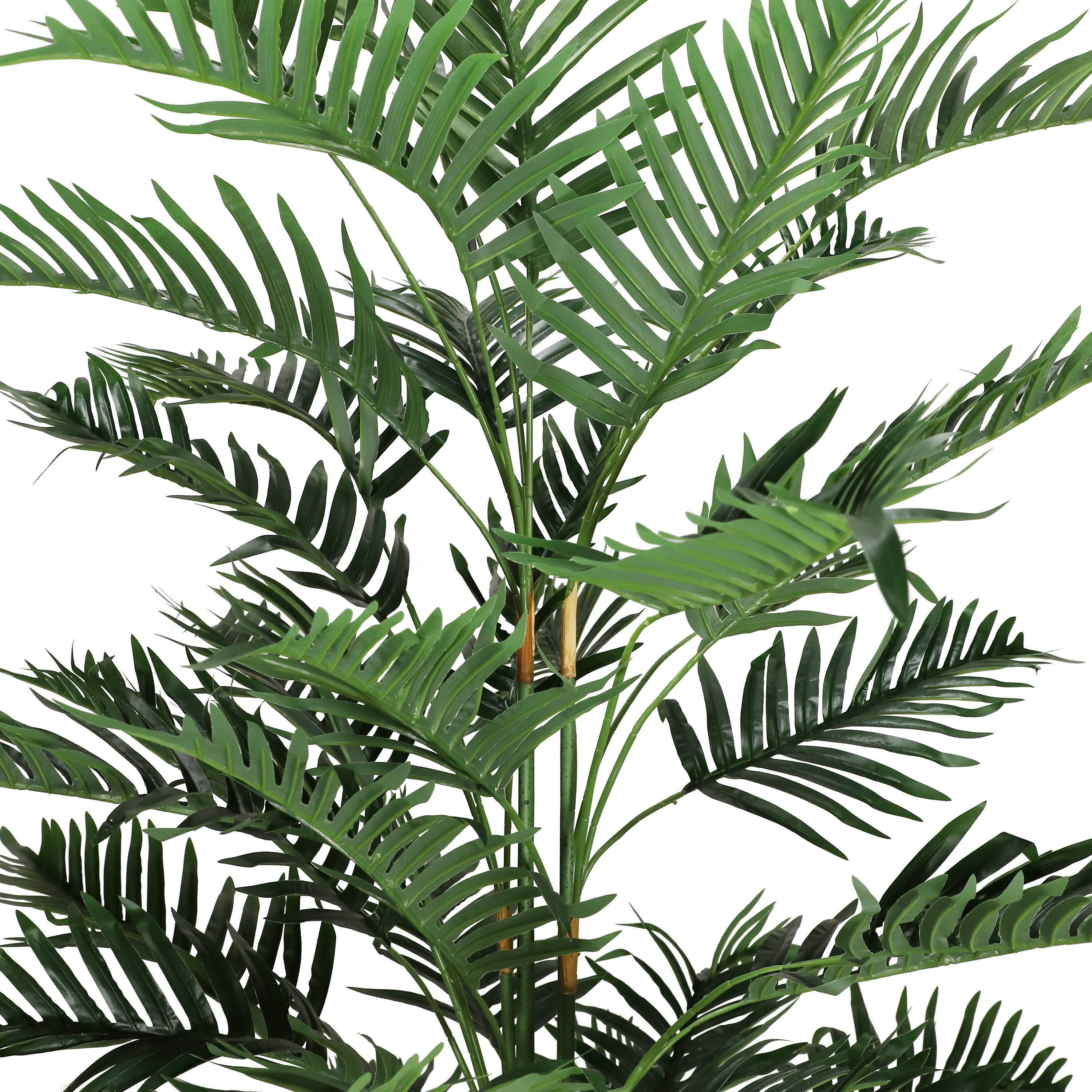 6 Pack: 6.5ft. Potted Areca Palm Tree