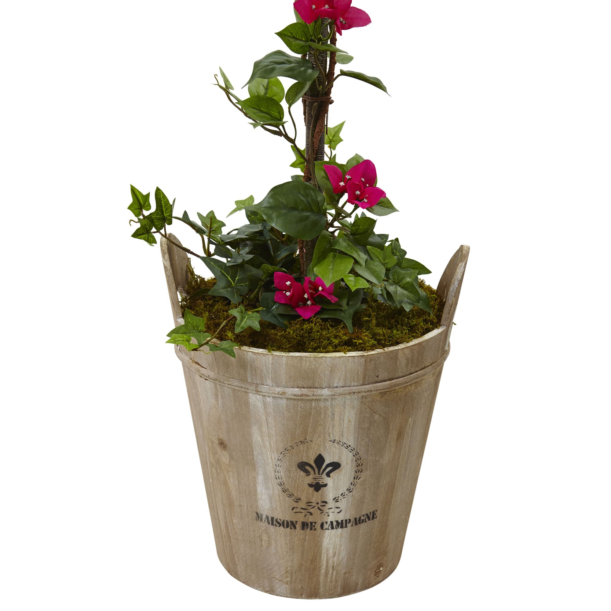 5.5ft. Pink Bougainvillea Topiary Tree with European Barrel Planter
