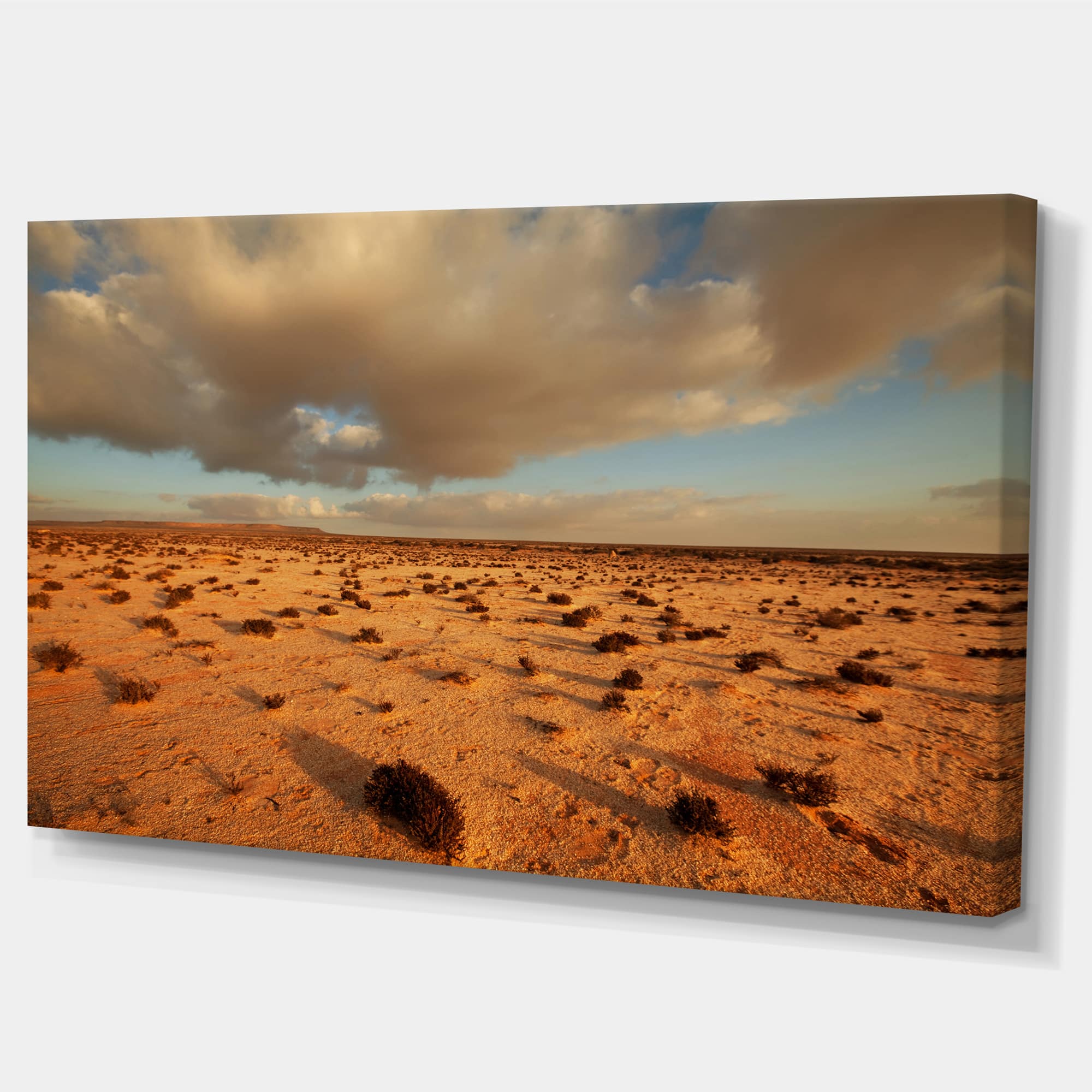 Designart - Desert in Western Sahara - Landscape Canvas Art Print