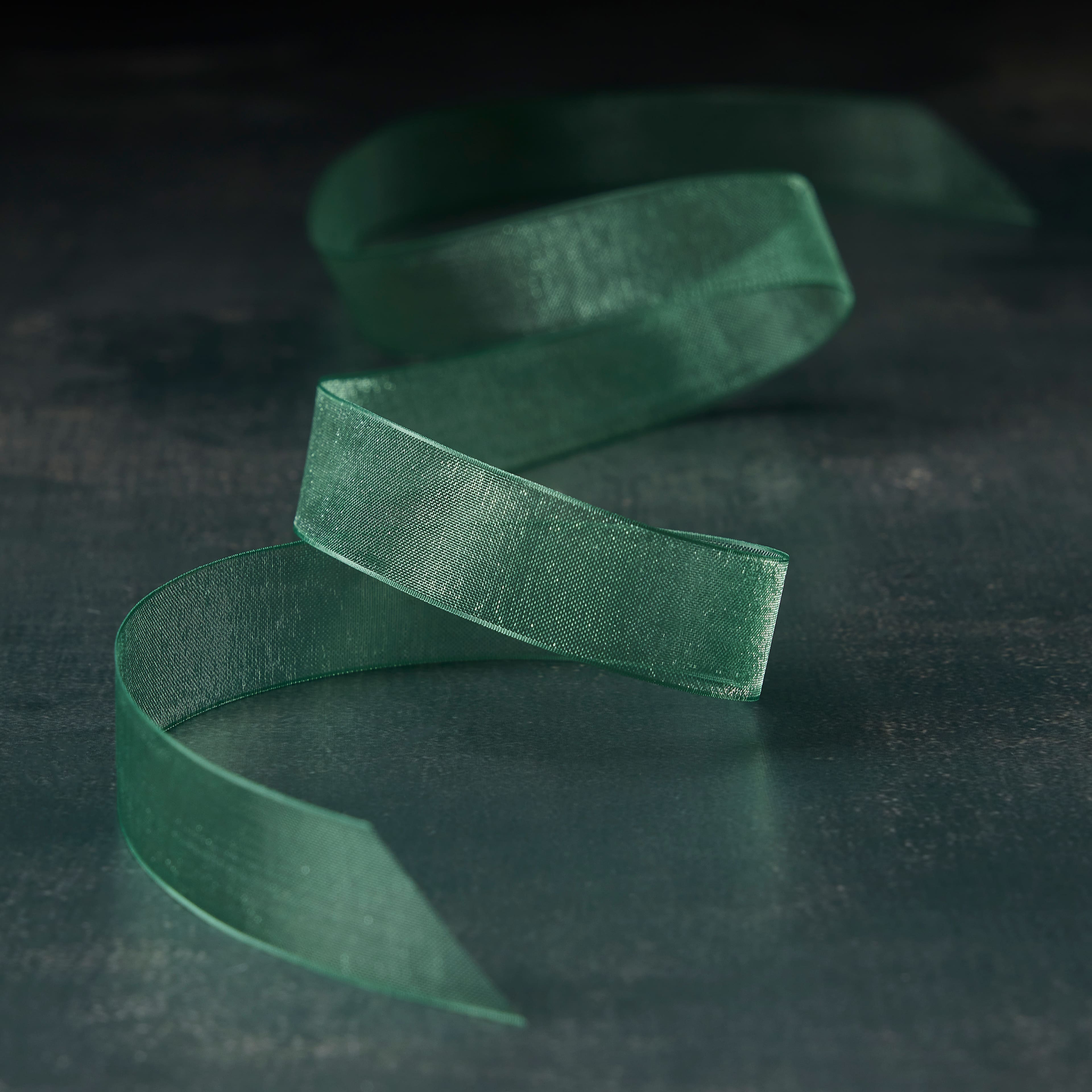 5/8&#x22; x 7yd. Sheer Organza Ribbon by Celebrate It&#xAE; Classic