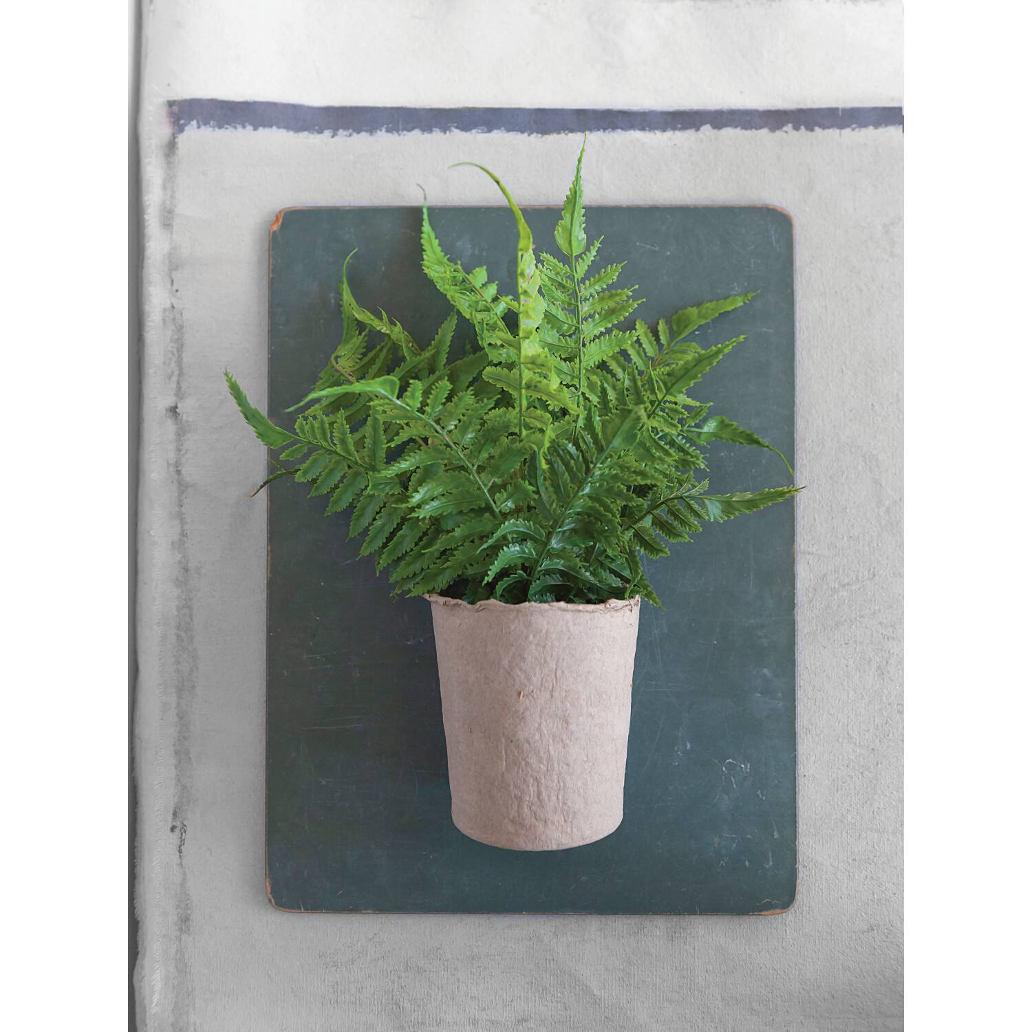 Hello Honey® 13.5" Faux Fern in Paper Pot