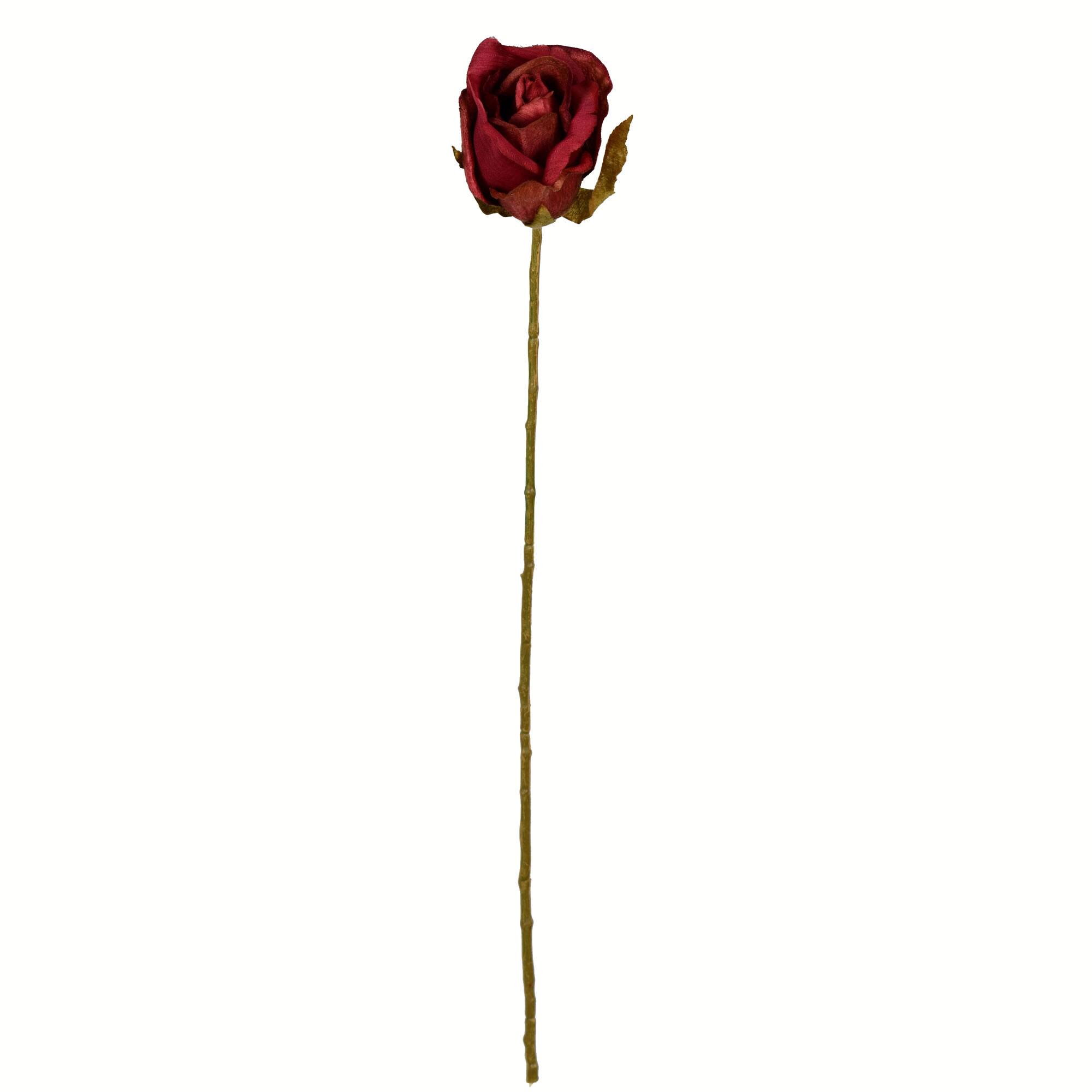 Burgundy Rose Stem, 12ct.