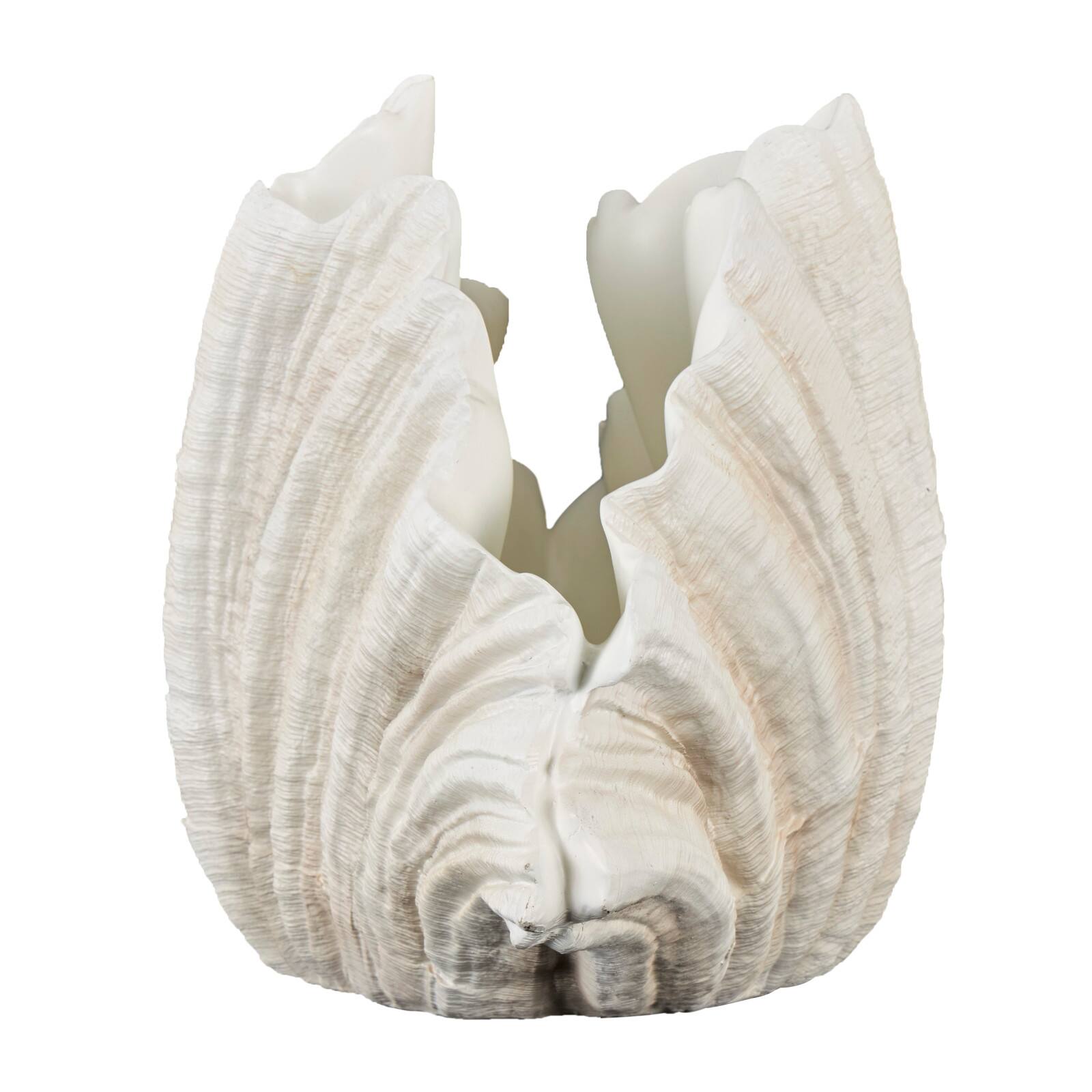 23" Cream Shell Textured Sculpture
