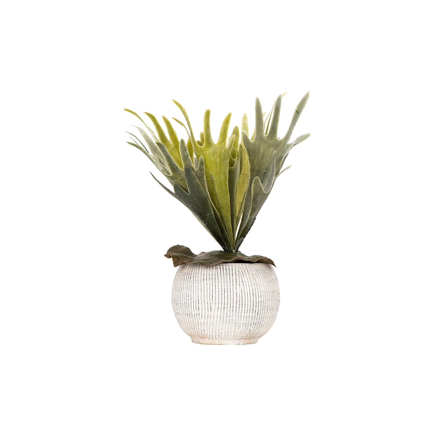 Hello Honey® 5" Distressed Cream Fluted Texture Terra Cotta Planter
