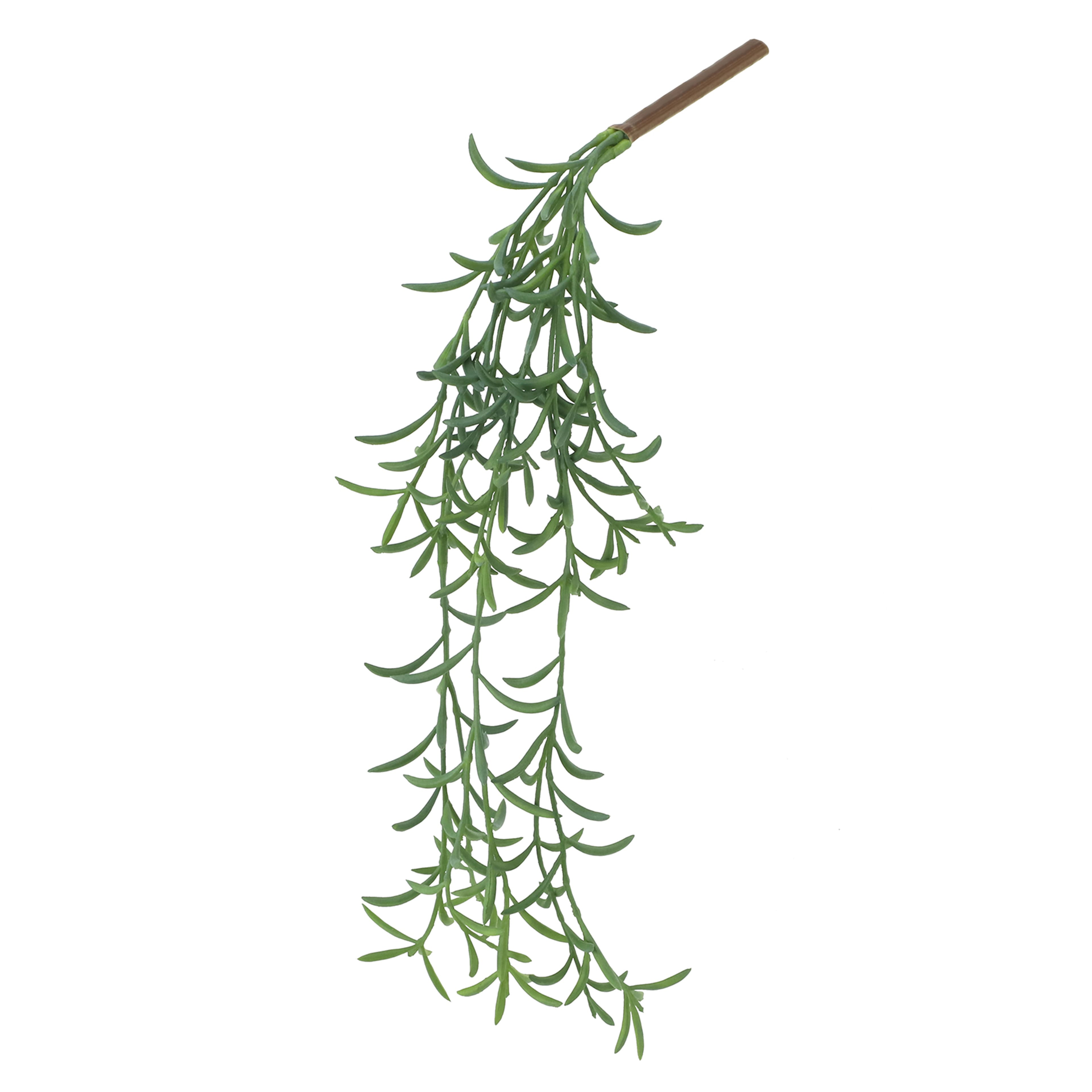 11&#x22; Senecio Peregrinus Pick by Ashland&#xAE;