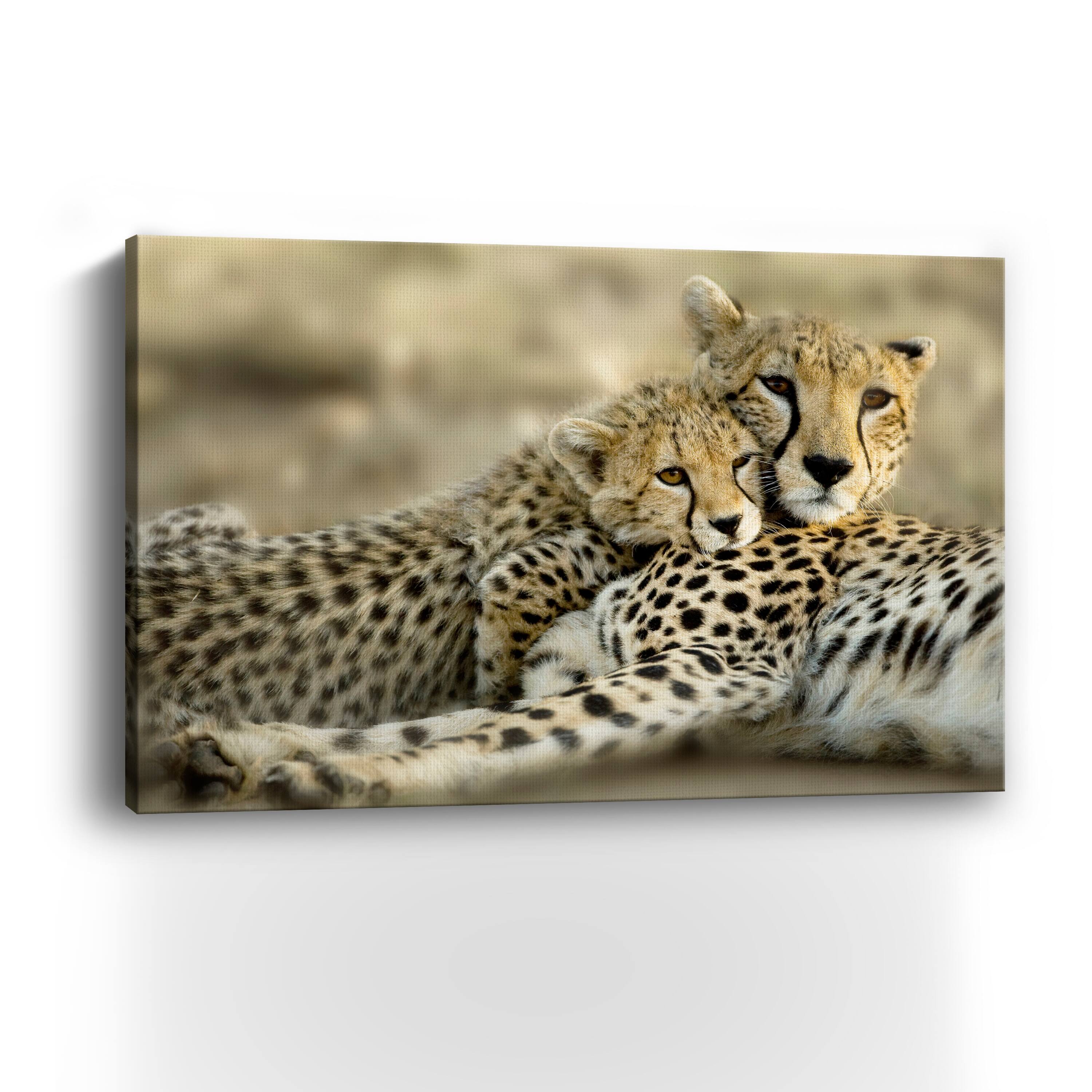Kenya Club Canvas Giclee