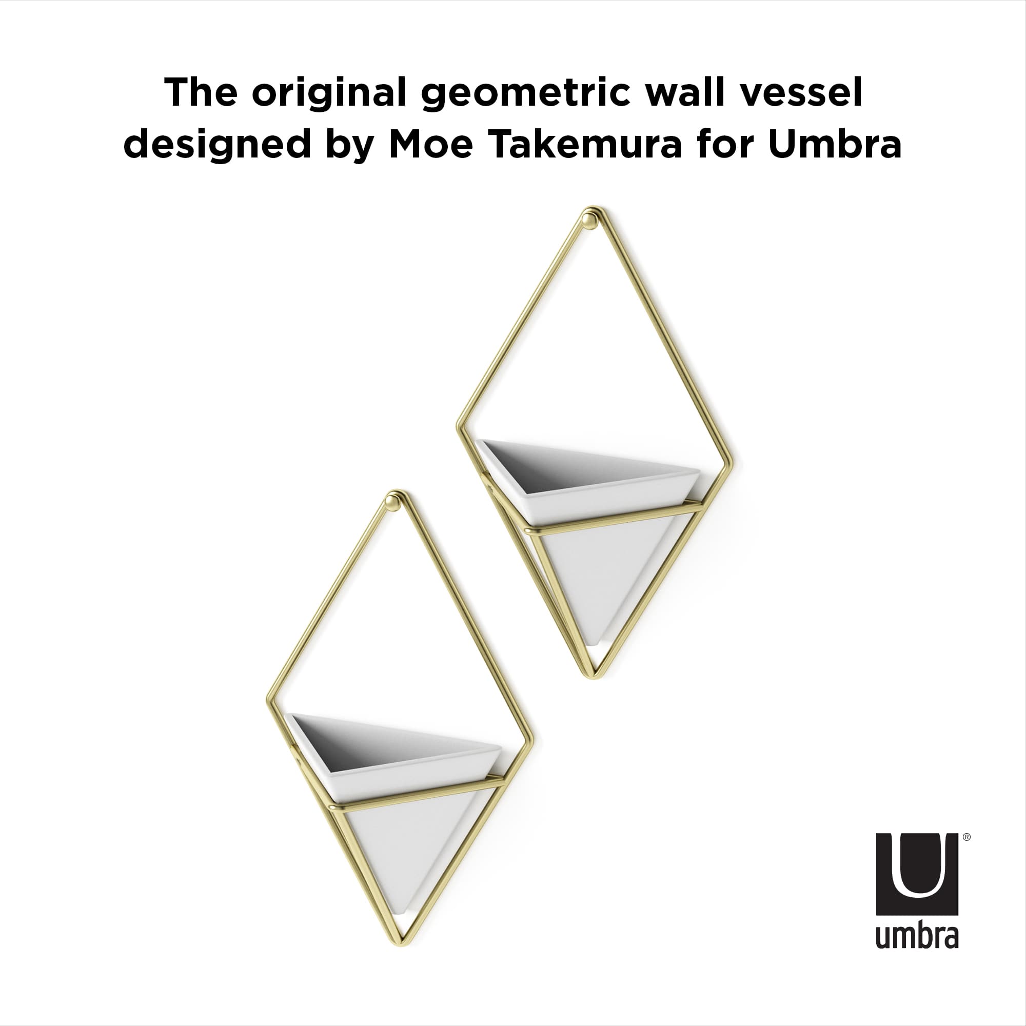 Umbra Trigg Wall Accent Set