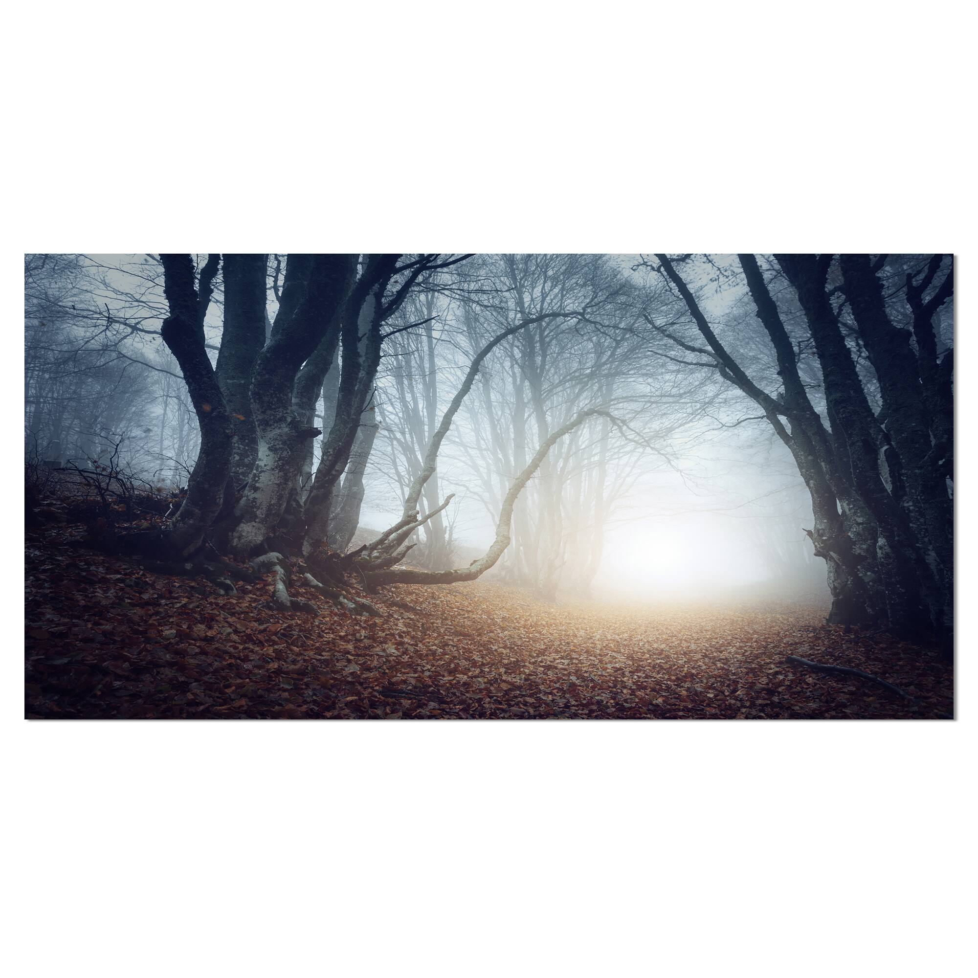 Designart - Magical Trees in Mysterious Forest - Modern Forest Canvas Wall Art