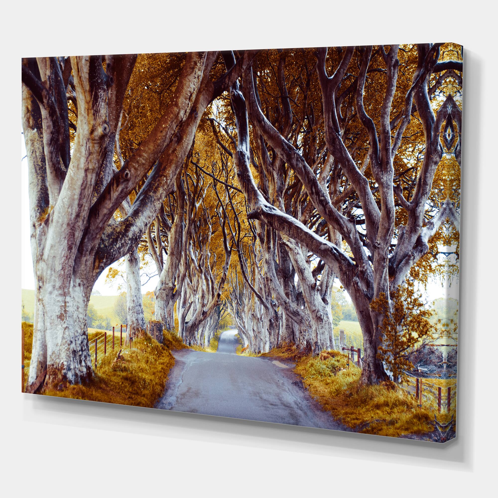 Designart - Majestic Tree Alley - Traditional Canvas Wall Art Print