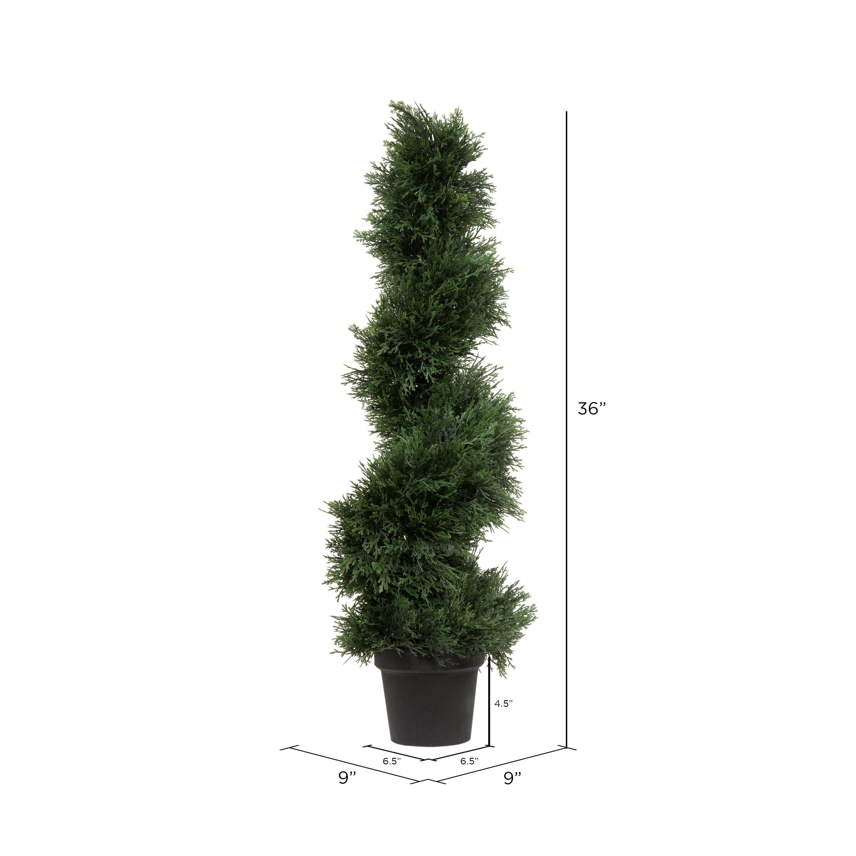 3ft. Potted Green Cedar Spiral Tree