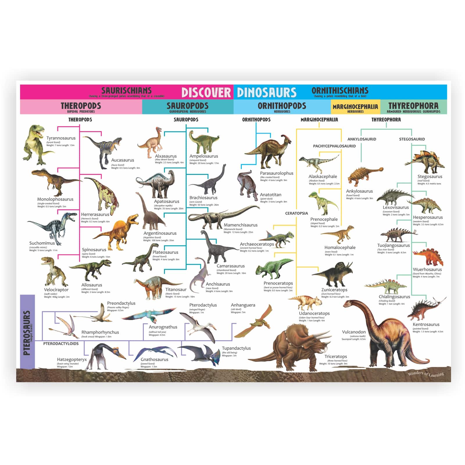Wonders of Learning Educational Tin Set Dinosaur 