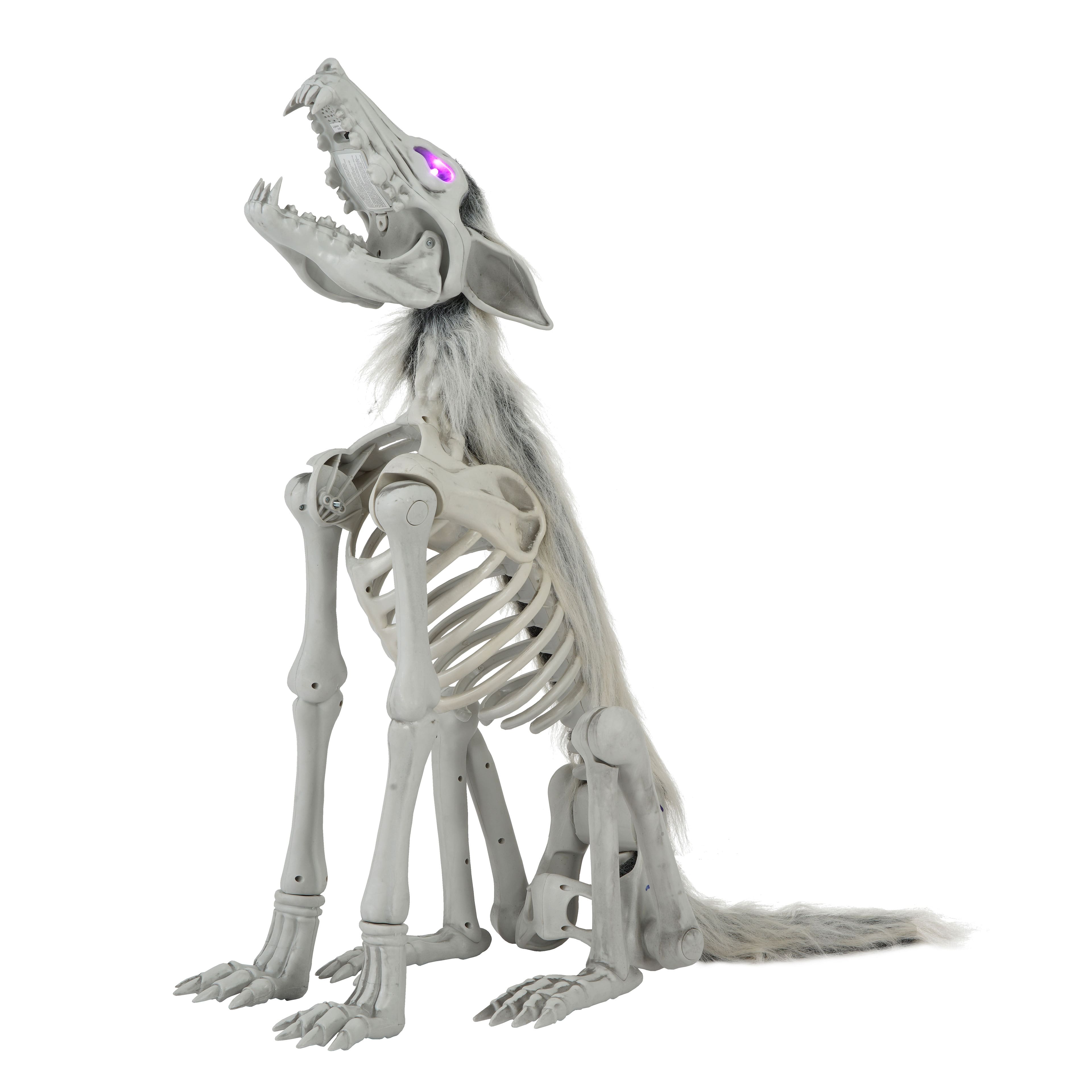 34.5&#x22; LED Animated Wolf Skeleton by Ashland&#xAE;