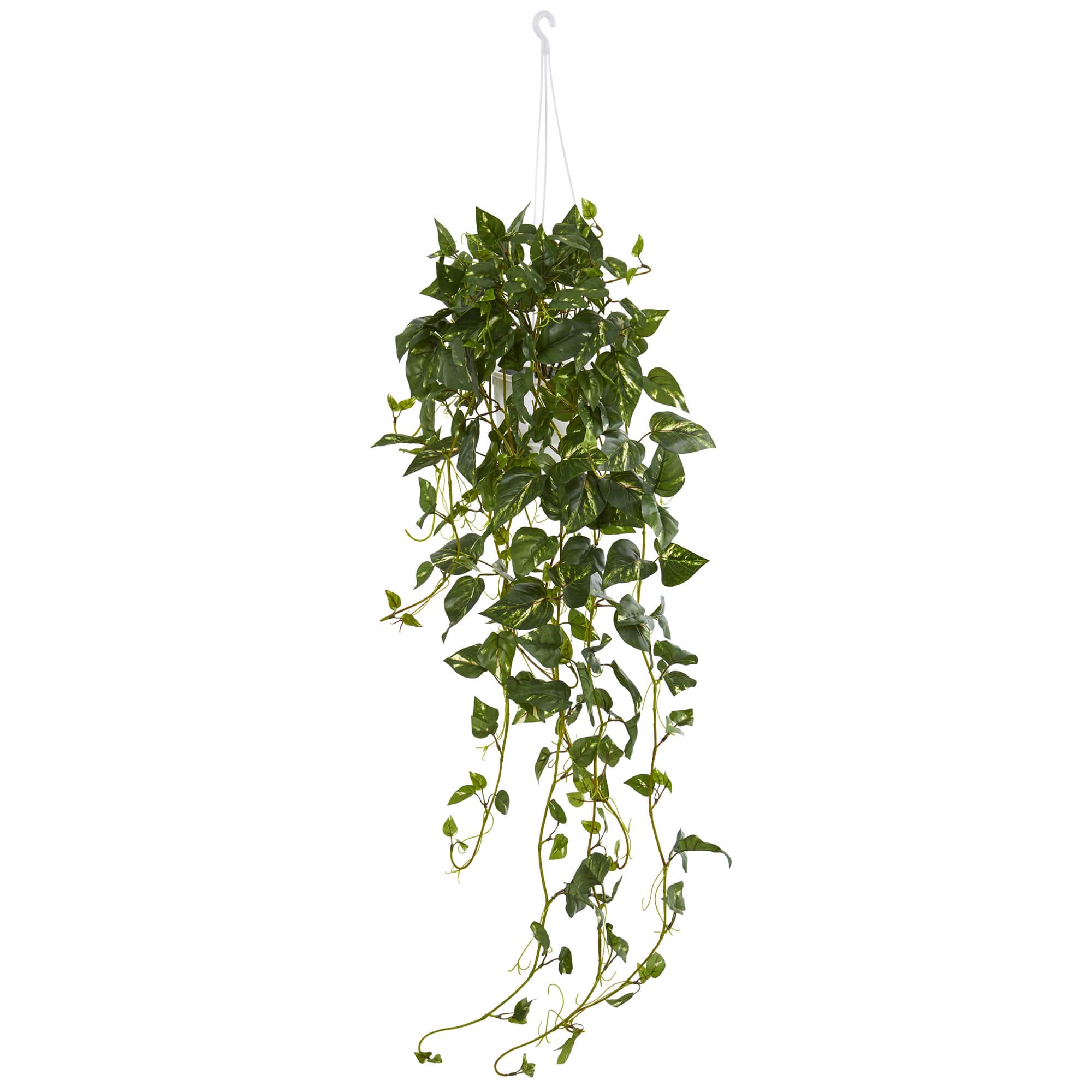 3.5ft. Green Pothos Hanging Basket