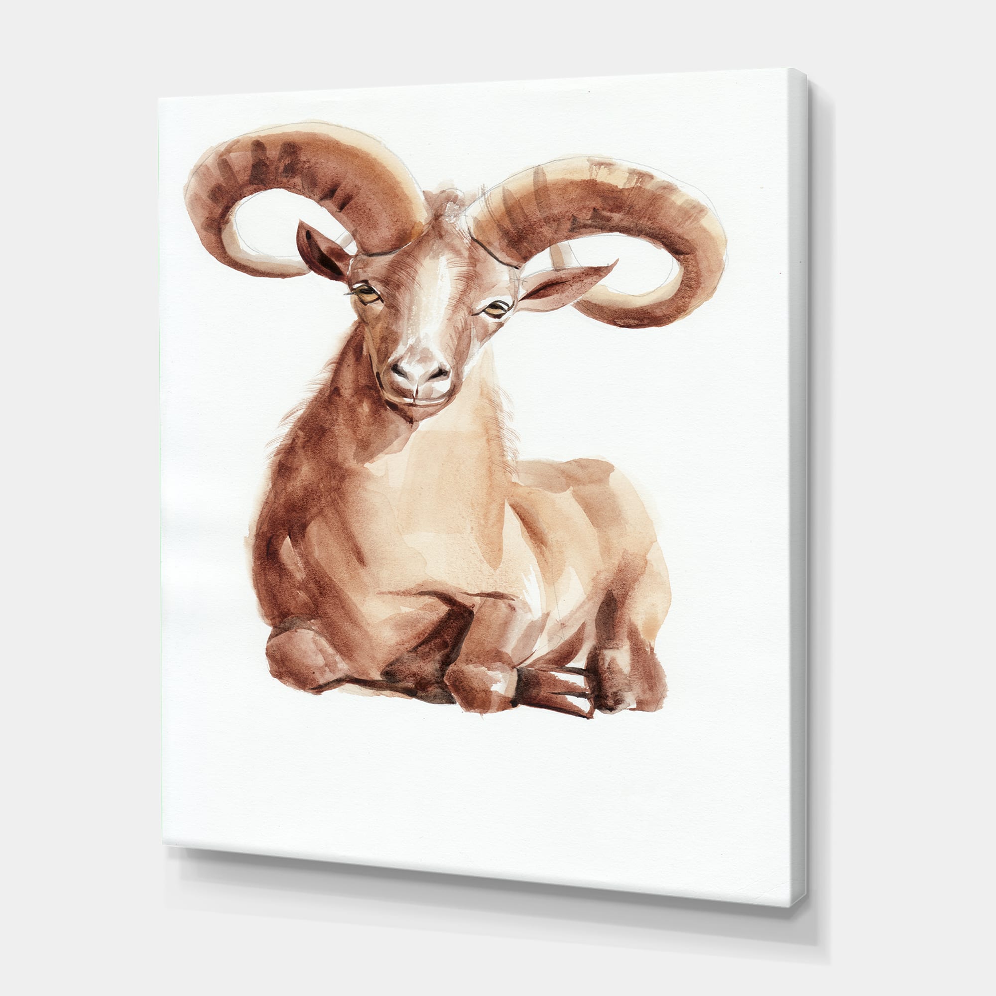 Designart - Portrait of Wild Ram With Mighty Horns II - Farmhouse Canvas Wall Art Print