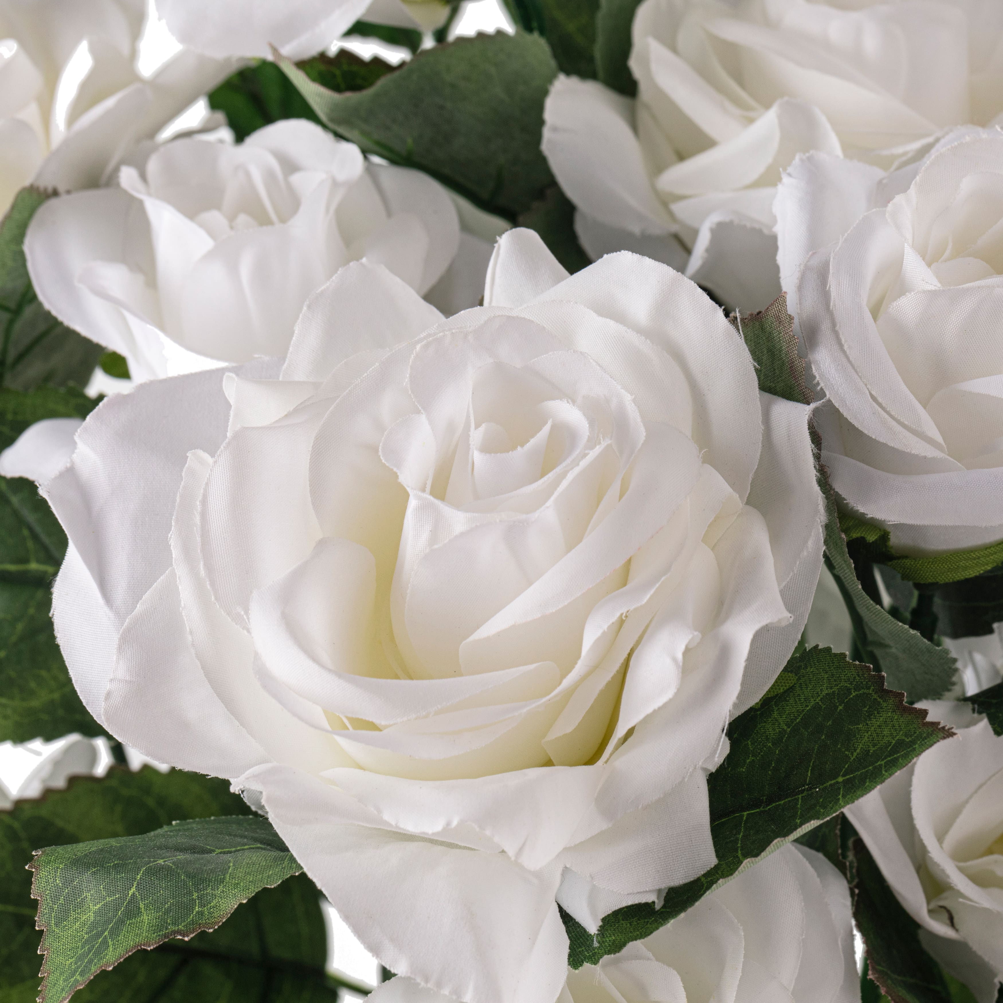 White Rose Bush by Ashland®