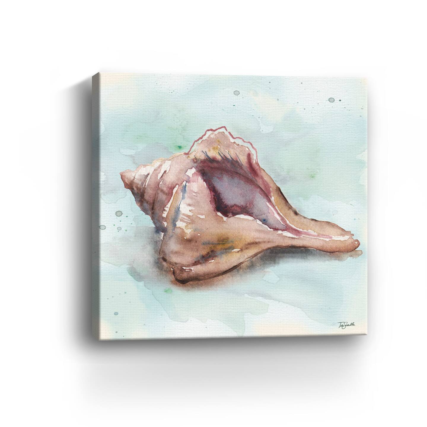 Watercolor Shells III Canvas Giclee
